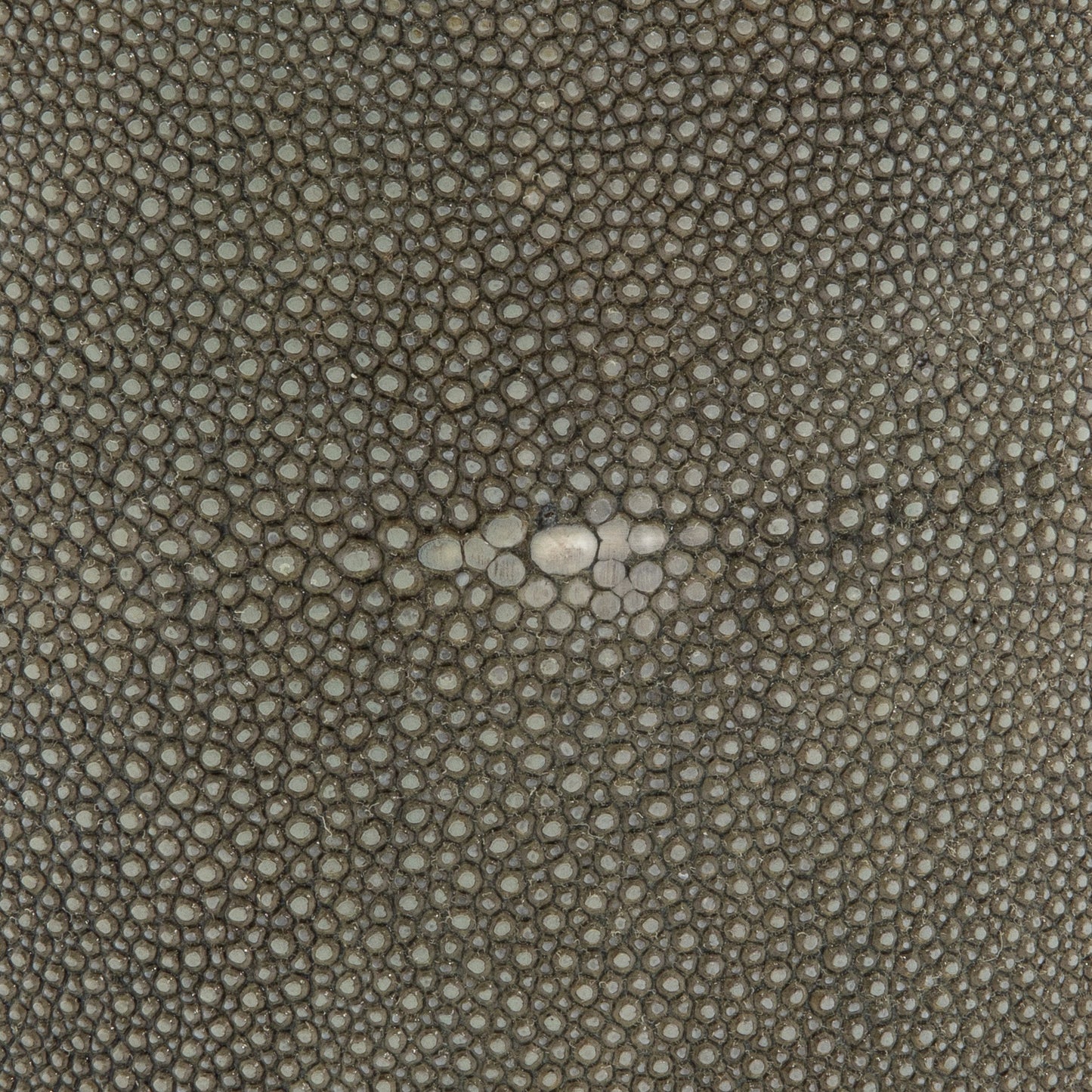 Ice Bucket in Grey Shagreen with Brass by KIFU Paris