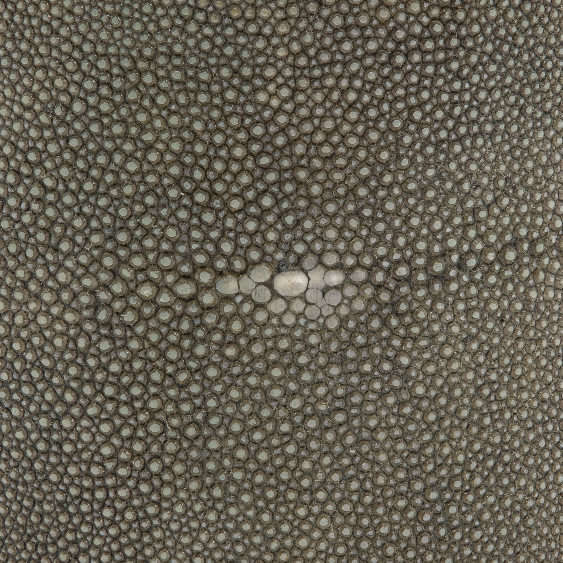Ice Bucket in Grey Shagreen with Brass by KIFU Paris