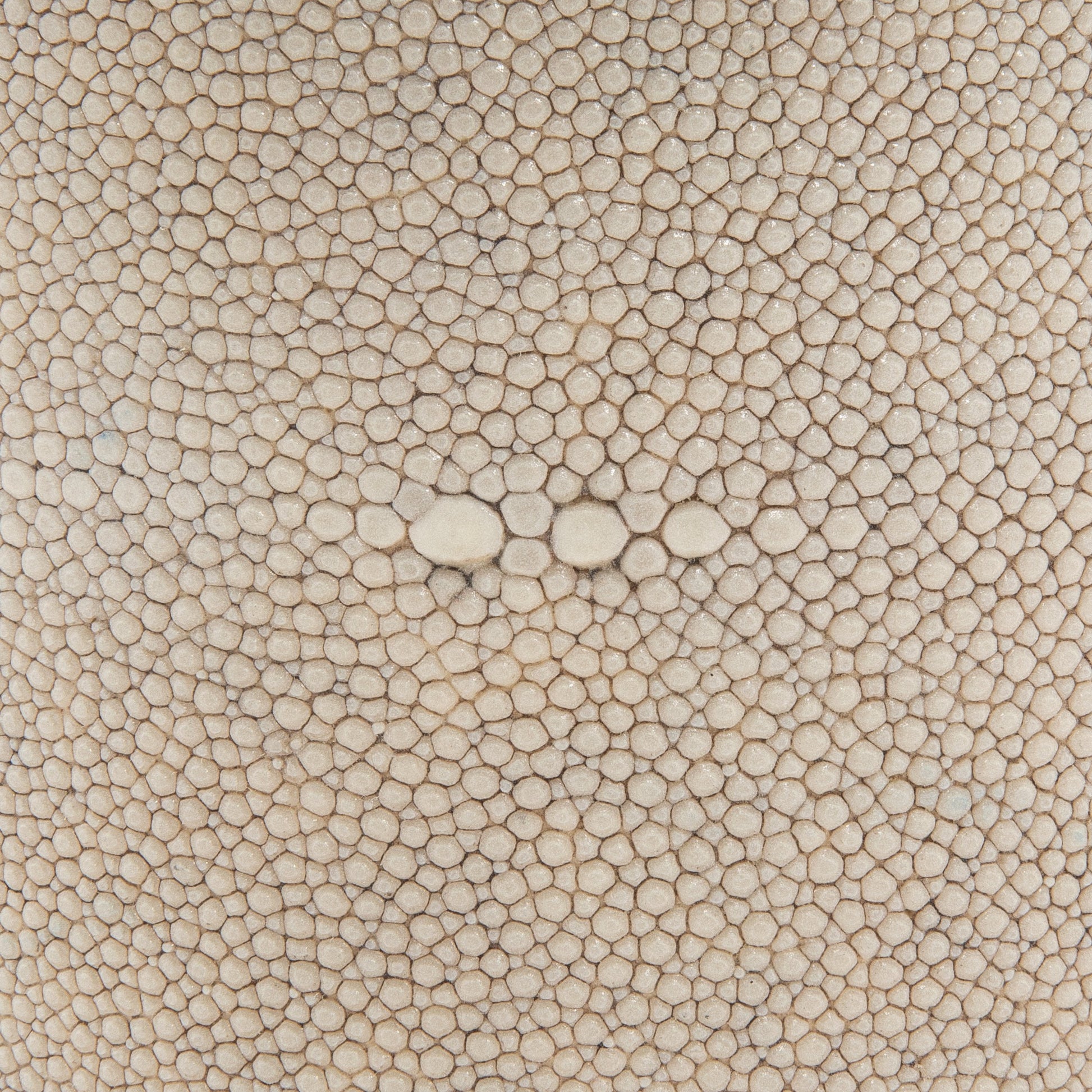 Ice Bucket in Cream Shagreen with Brass by KIFU Paris