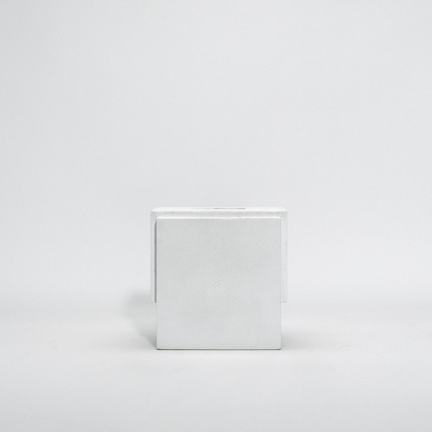 Tissue Box in White Shagreen by R&Y Augousti