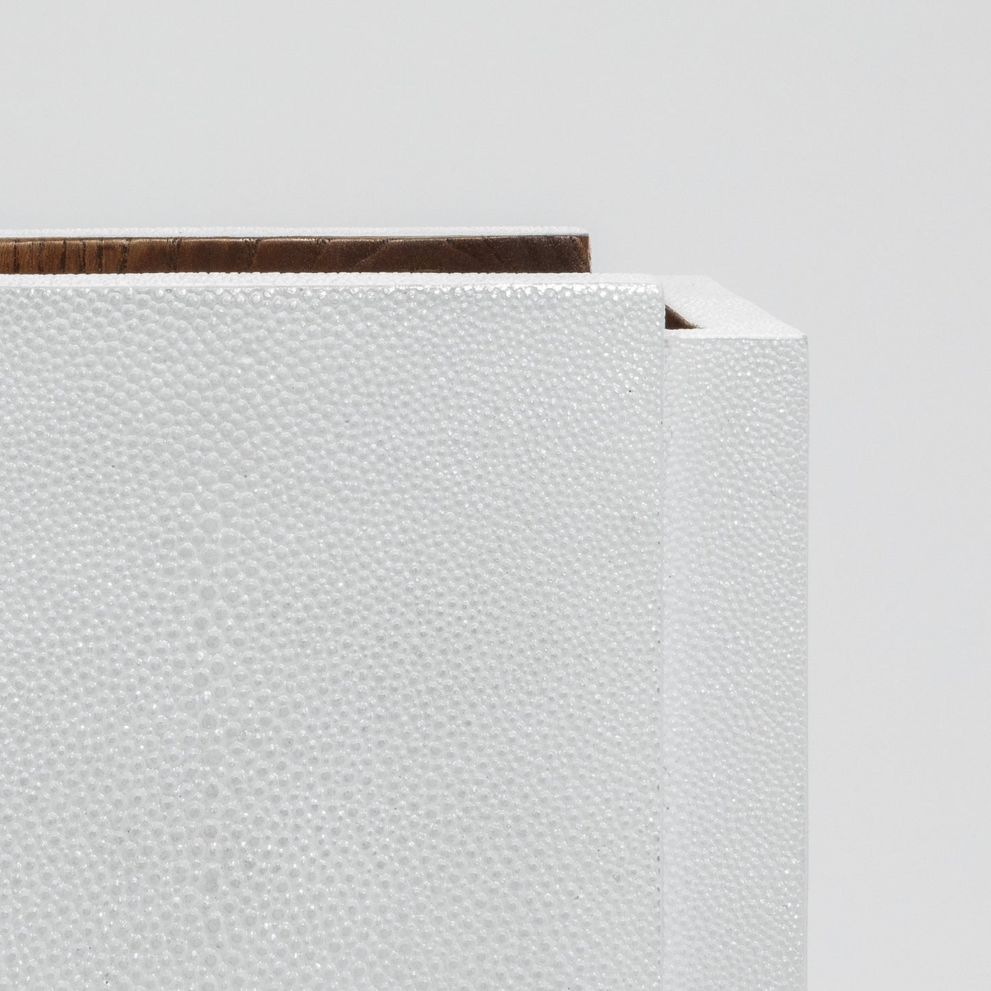 Waste Bin in White Shagreen by R&Y Augousti