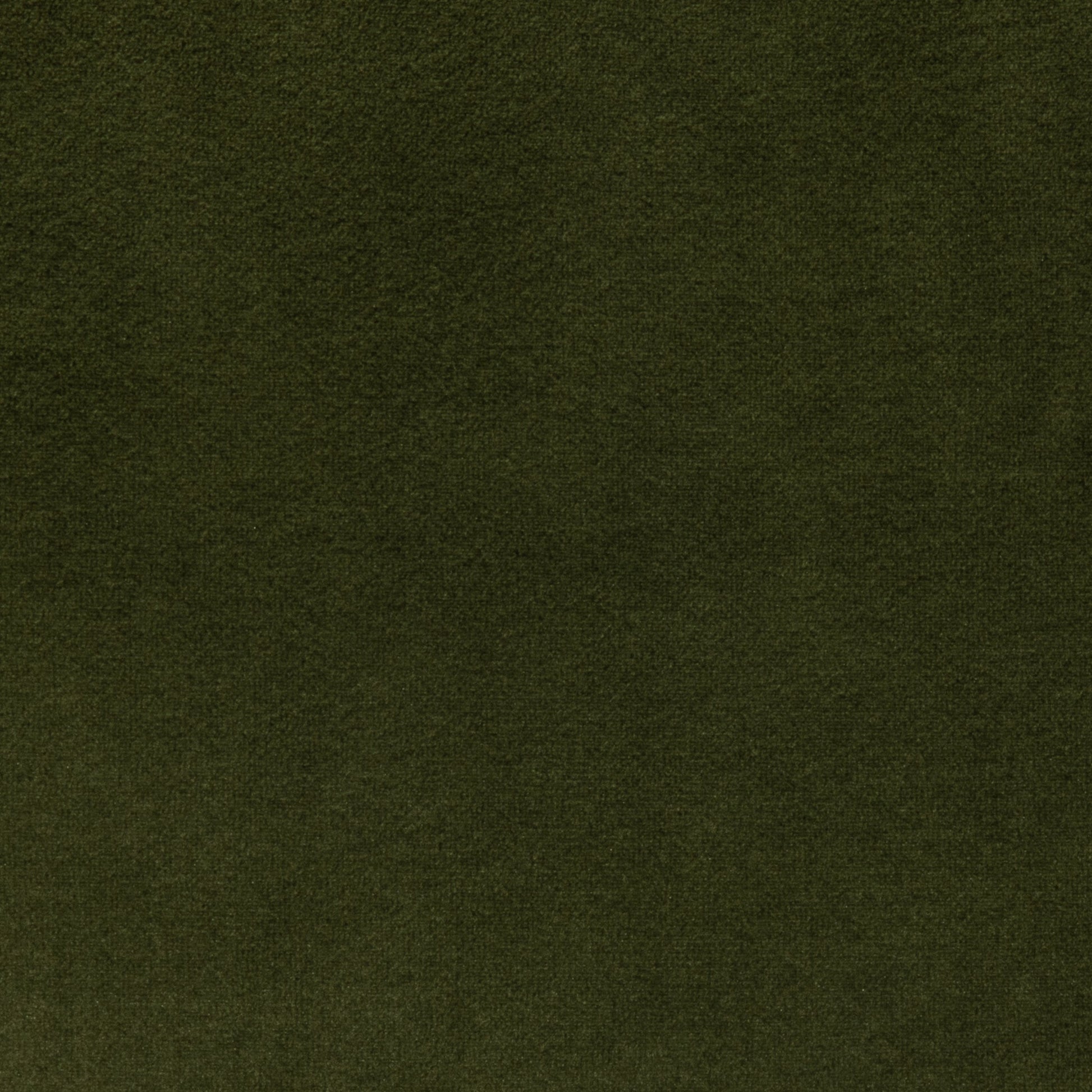 Evergreen Velvet Pillow by MOGUL