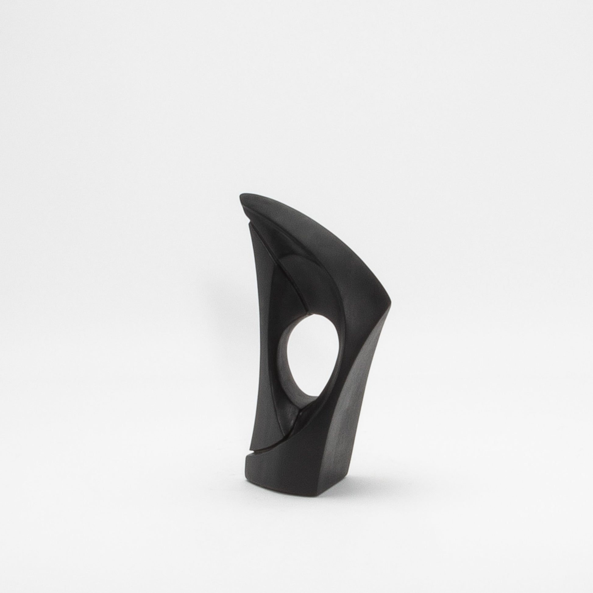Modern Abstract Sculpture in Black Oak by Patrick Coard Paris