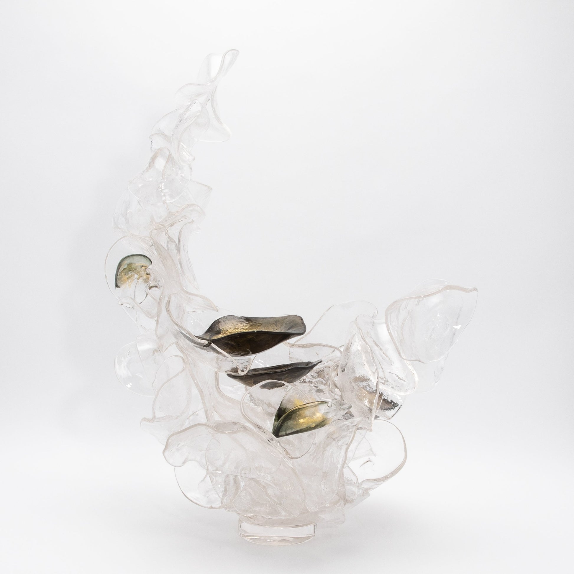 Shimmer by Martin Blank