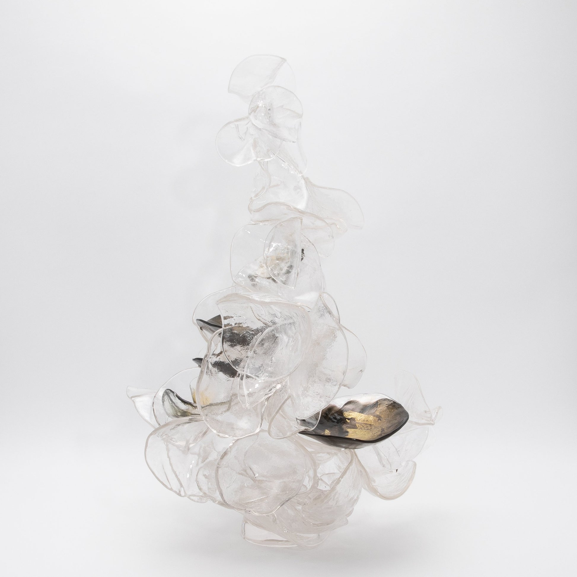 Shimmer by Martin Blank