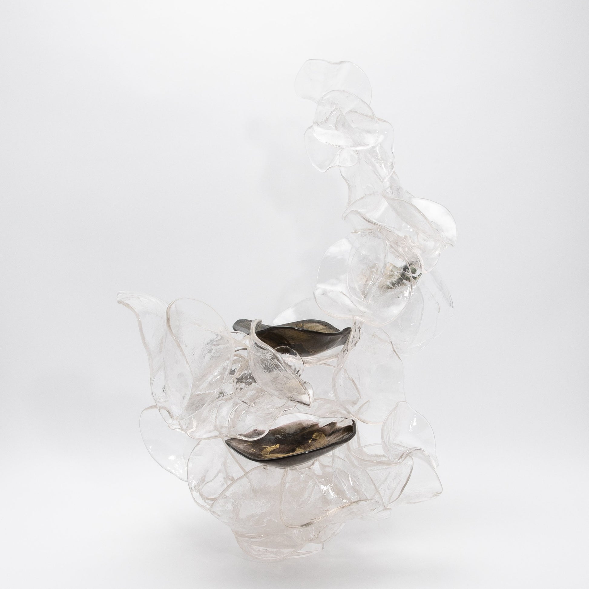 Shimmer by Martin Blank