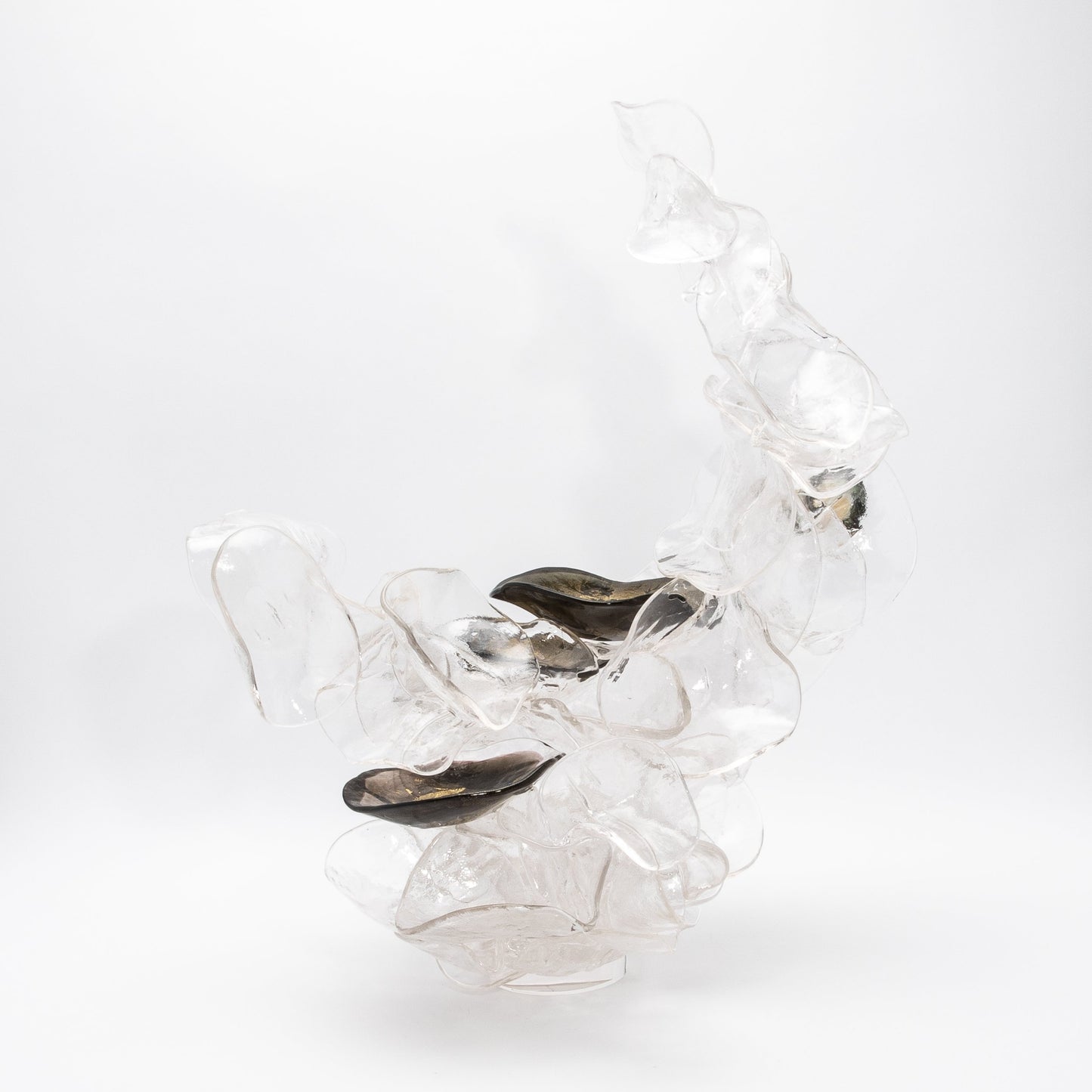 Shimmer by Martin Blank