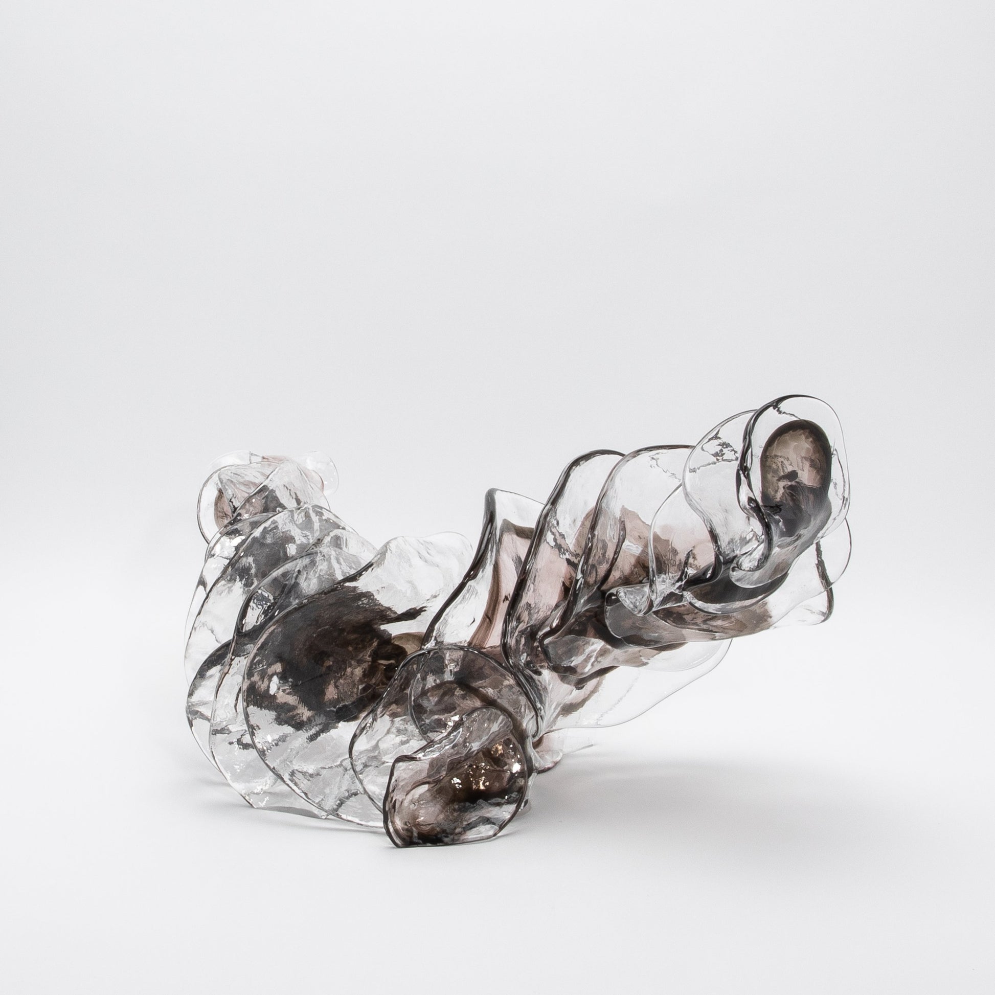 Shimmer by Martin Blank