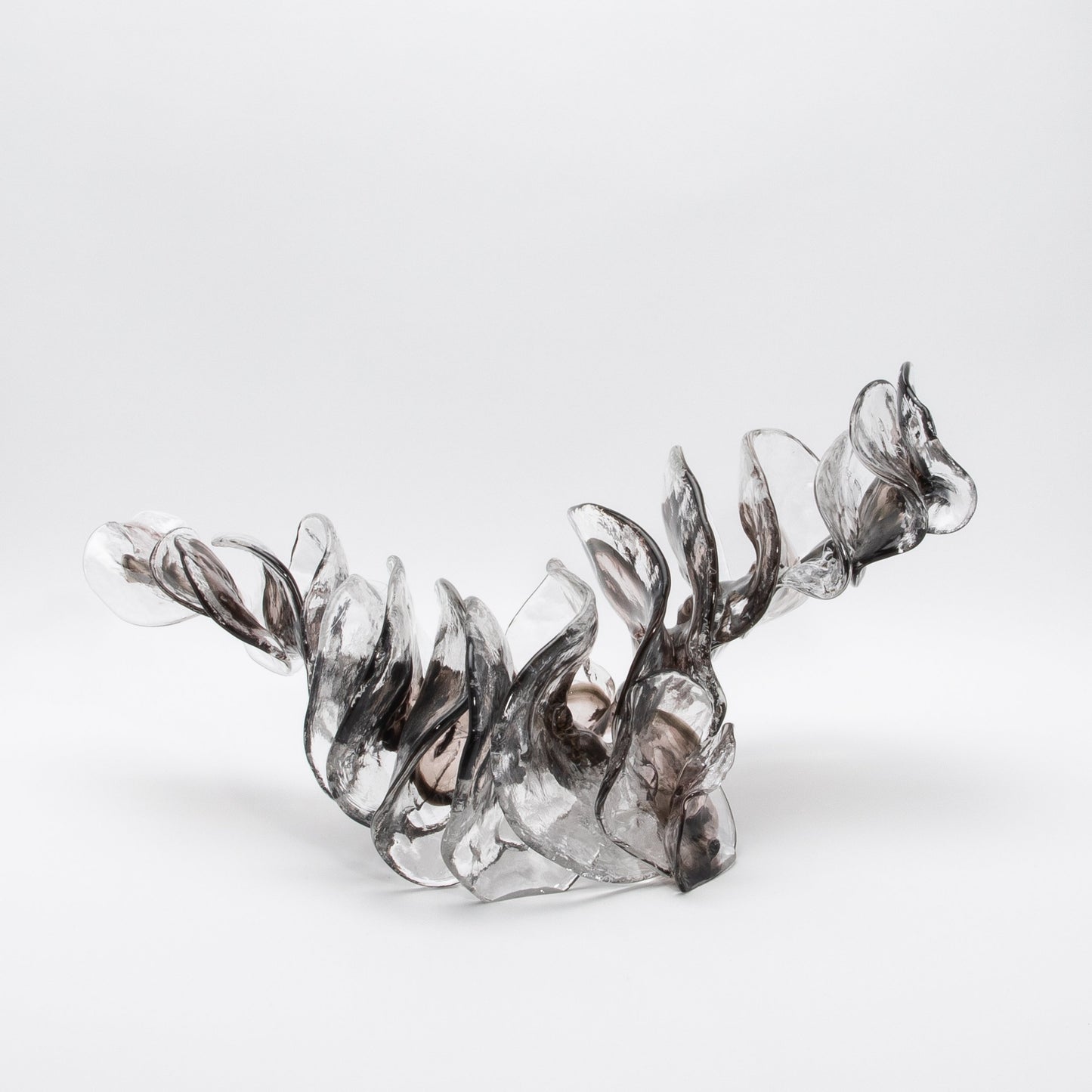 Shimmer by Martin Blank