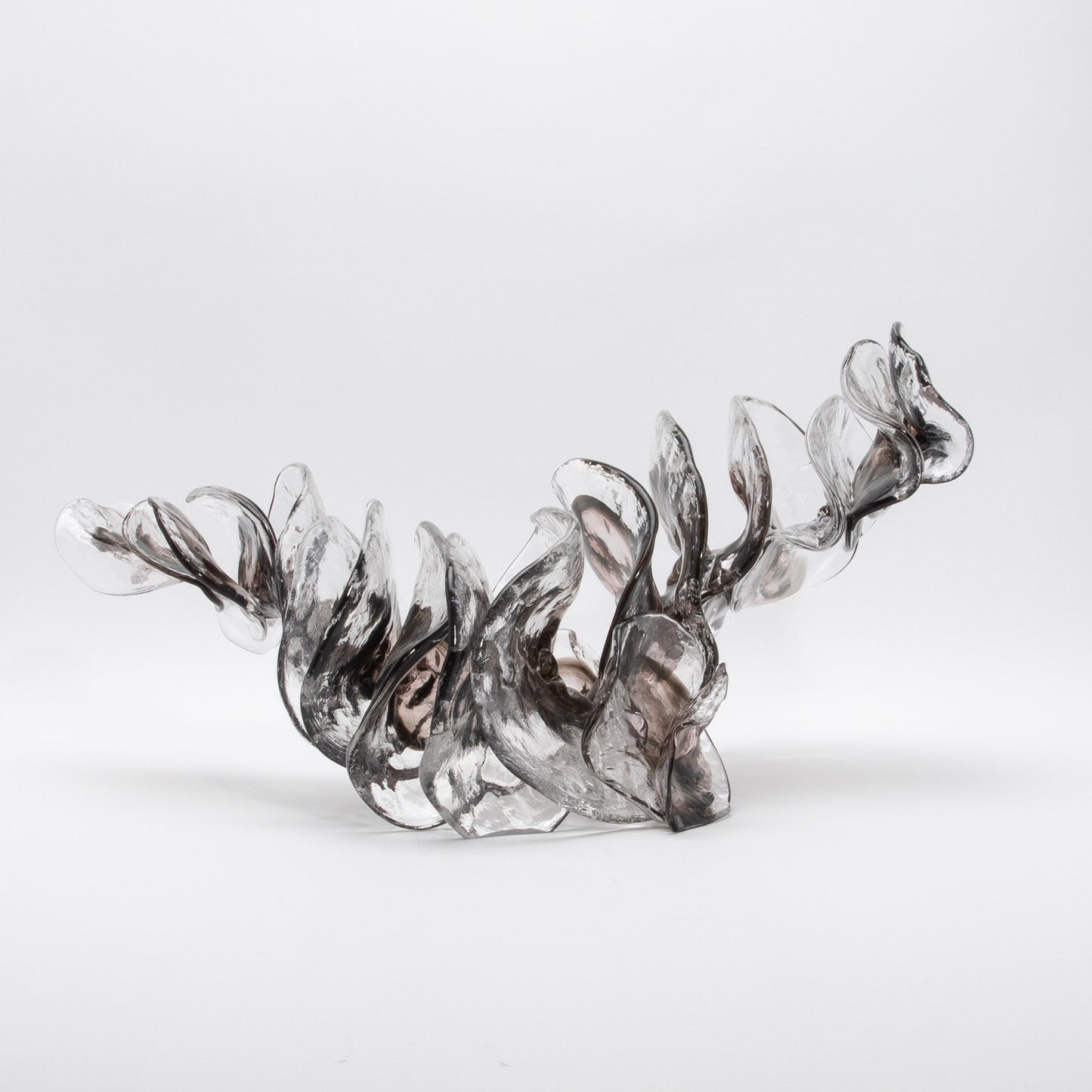 Shimmer by Martin Blank