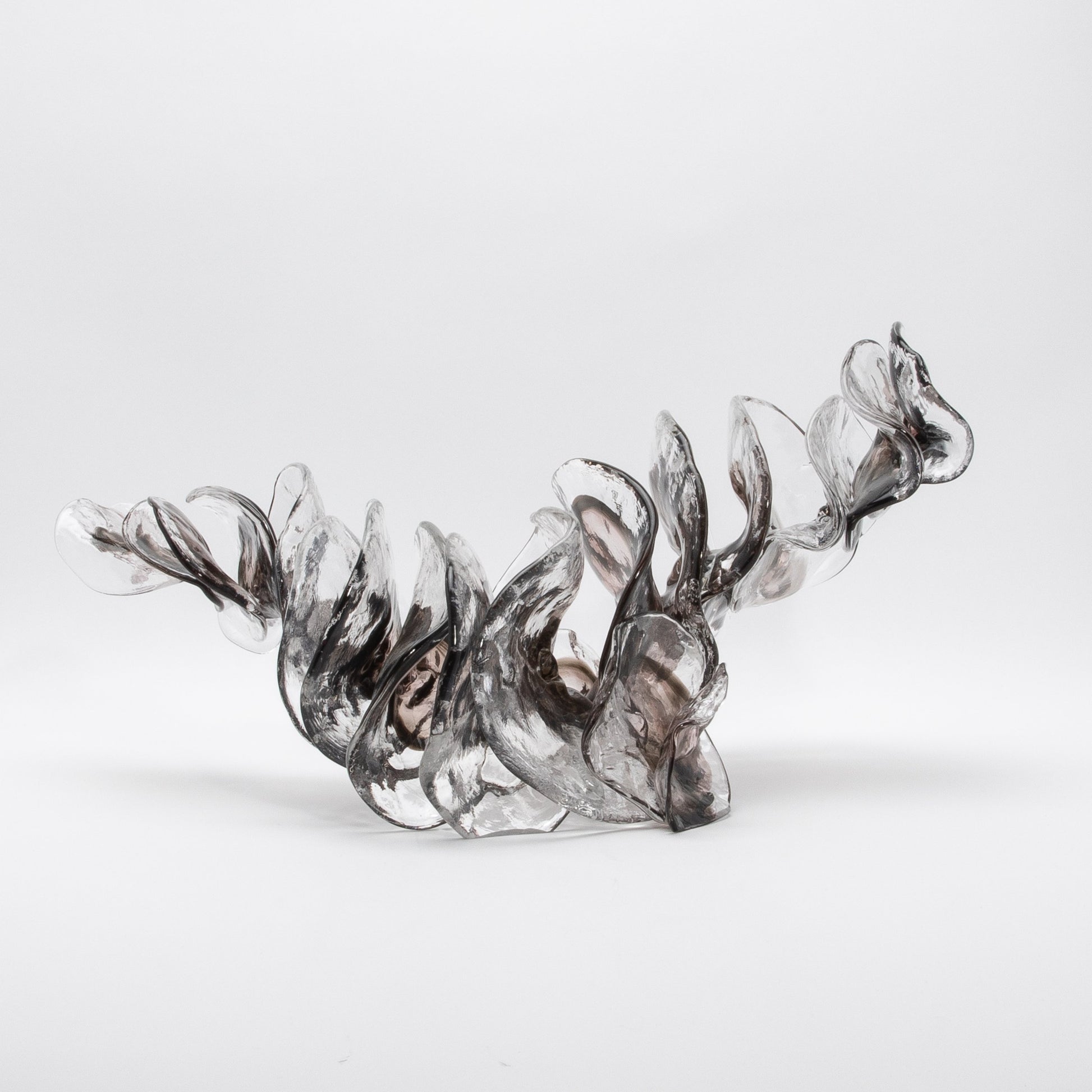 Shimmer by Martin Blank