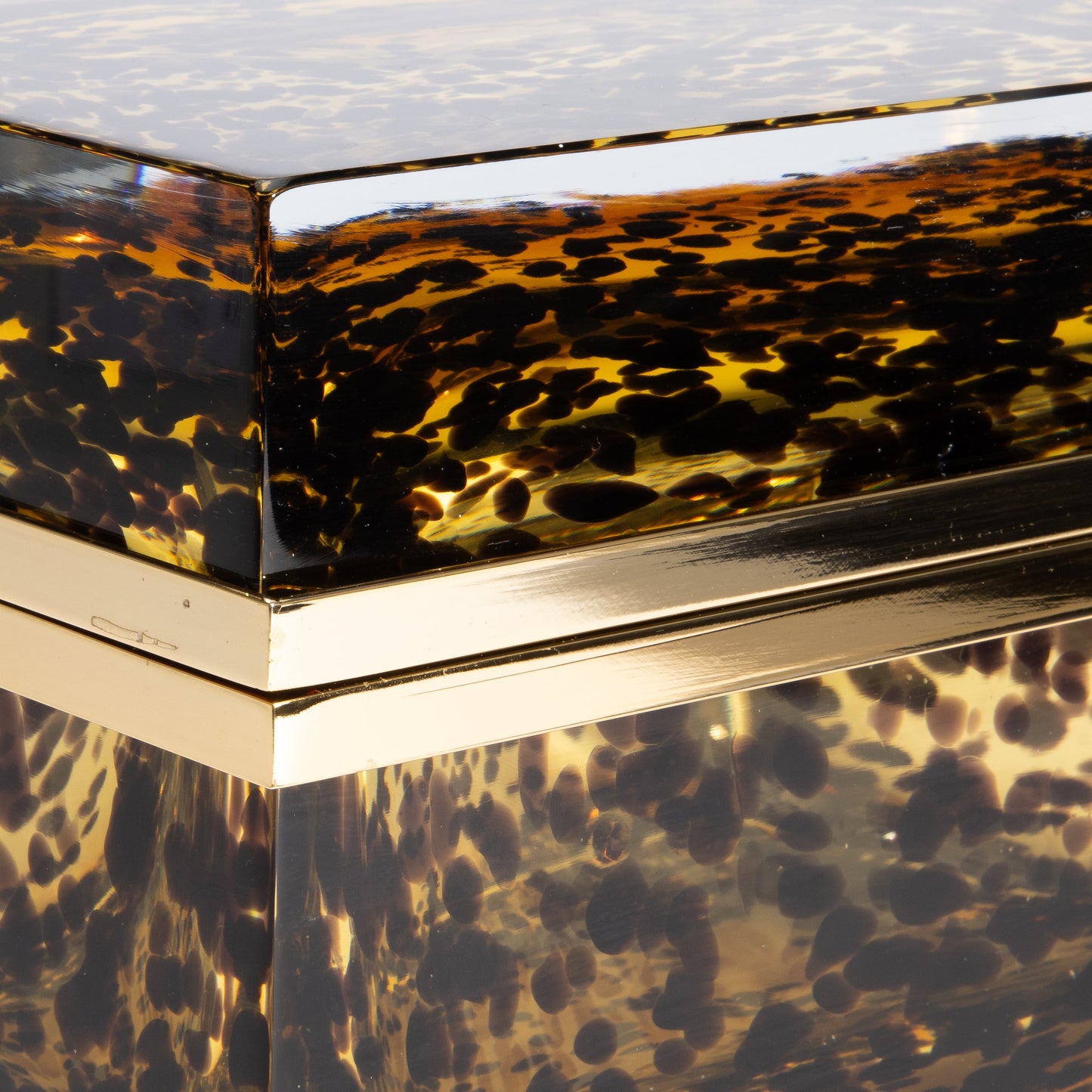 Murano Box with Brass Fittings in Leopard
