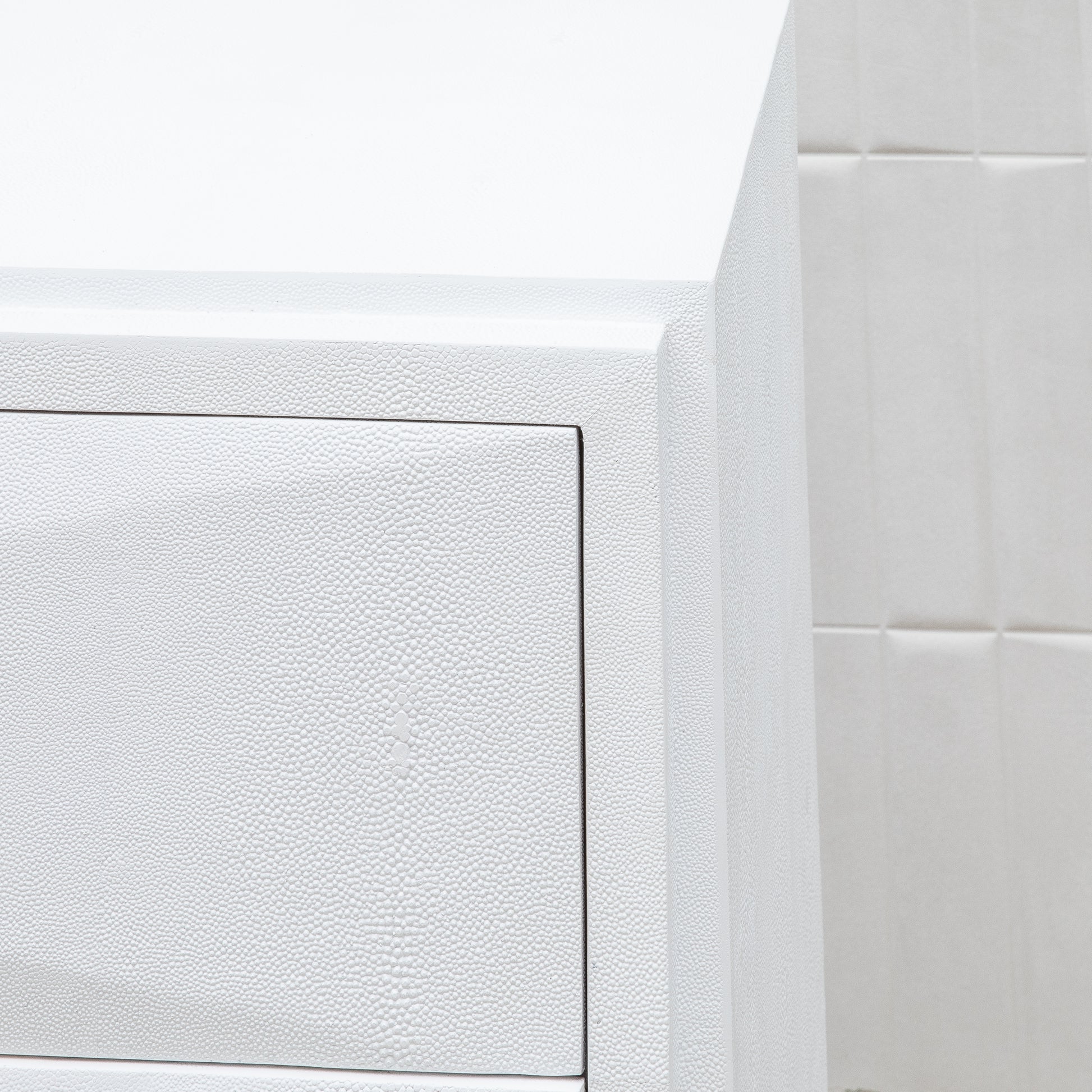 Chest of Drawers in White Shagreen with Bronze Patina Brass Details by R&Y Augousti