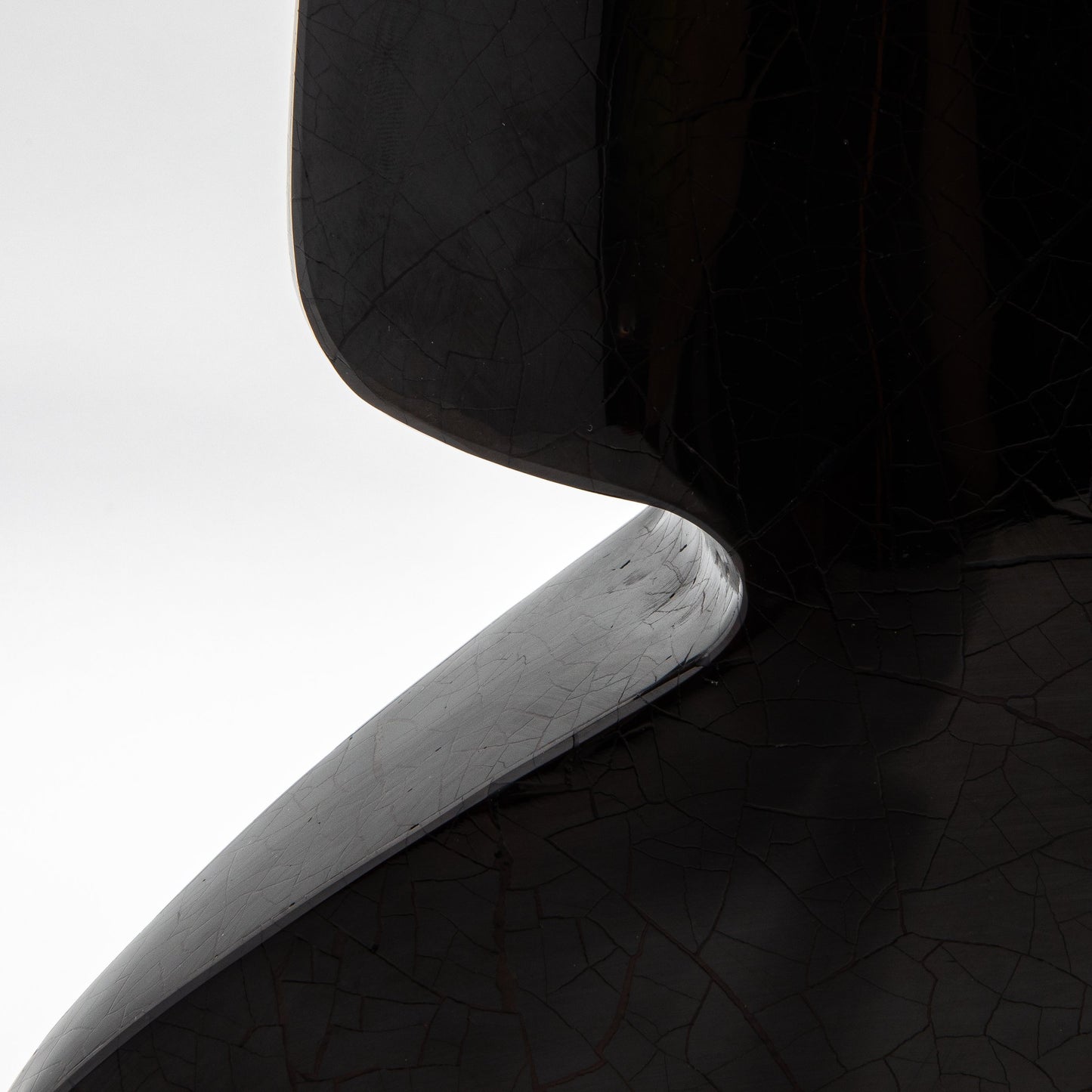 Sculptural Vase in Black Shell by R&Y Augousti