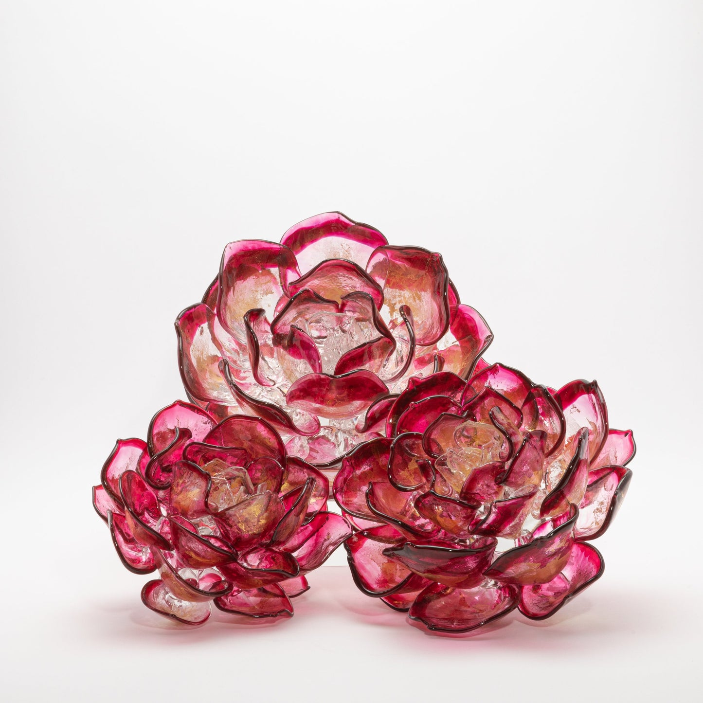 Cranberry Lotus by Martin Blank
