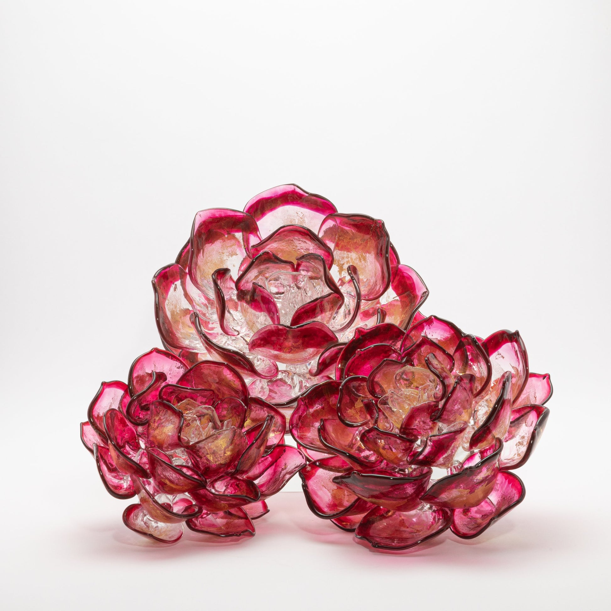 Cranberry Lotus by Martin Blank