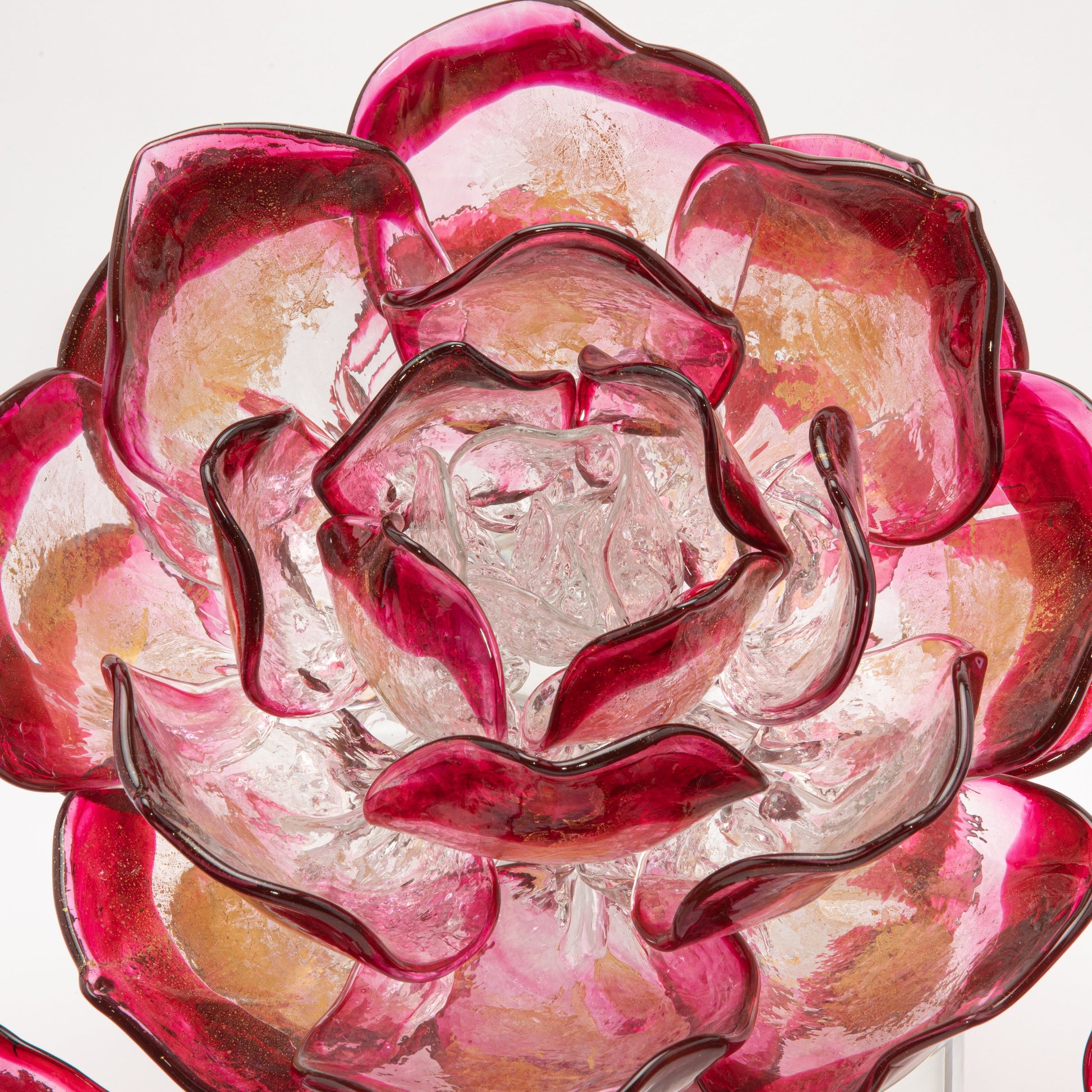 Cranberry Lotus by Martin Blank
