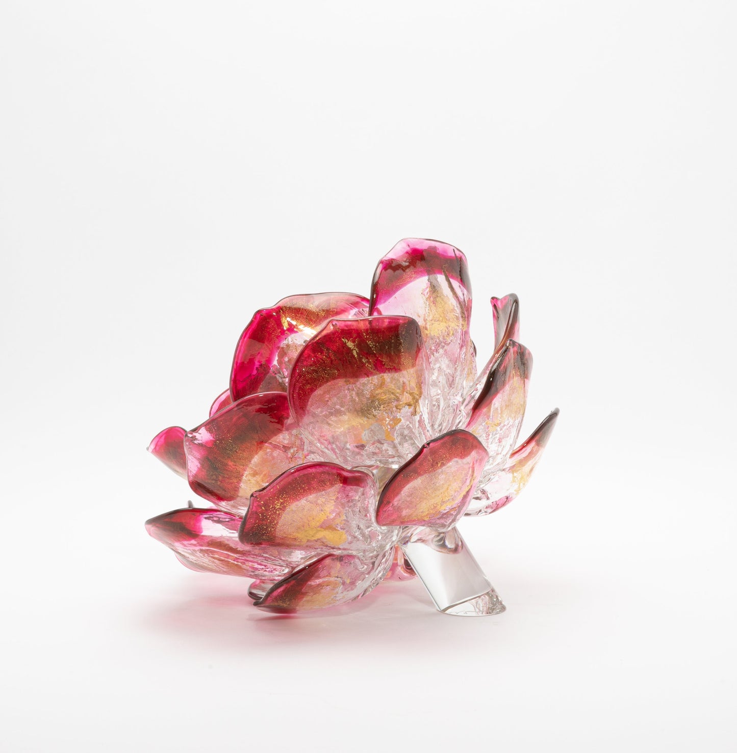 Cranberry Lotus by Martin Blank