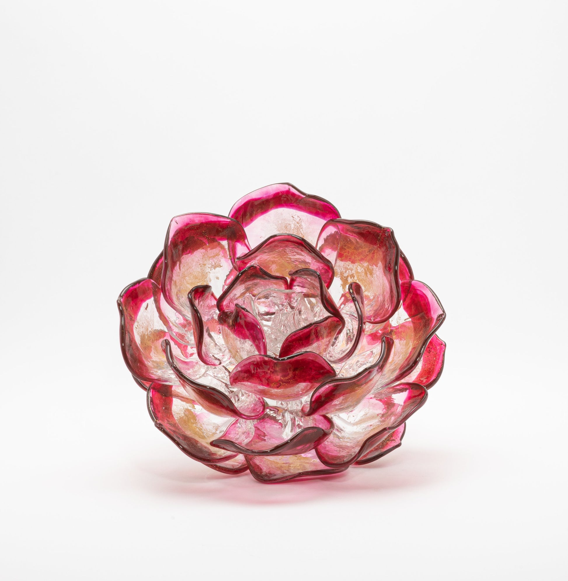Cranberry Lotus by Martin Blank