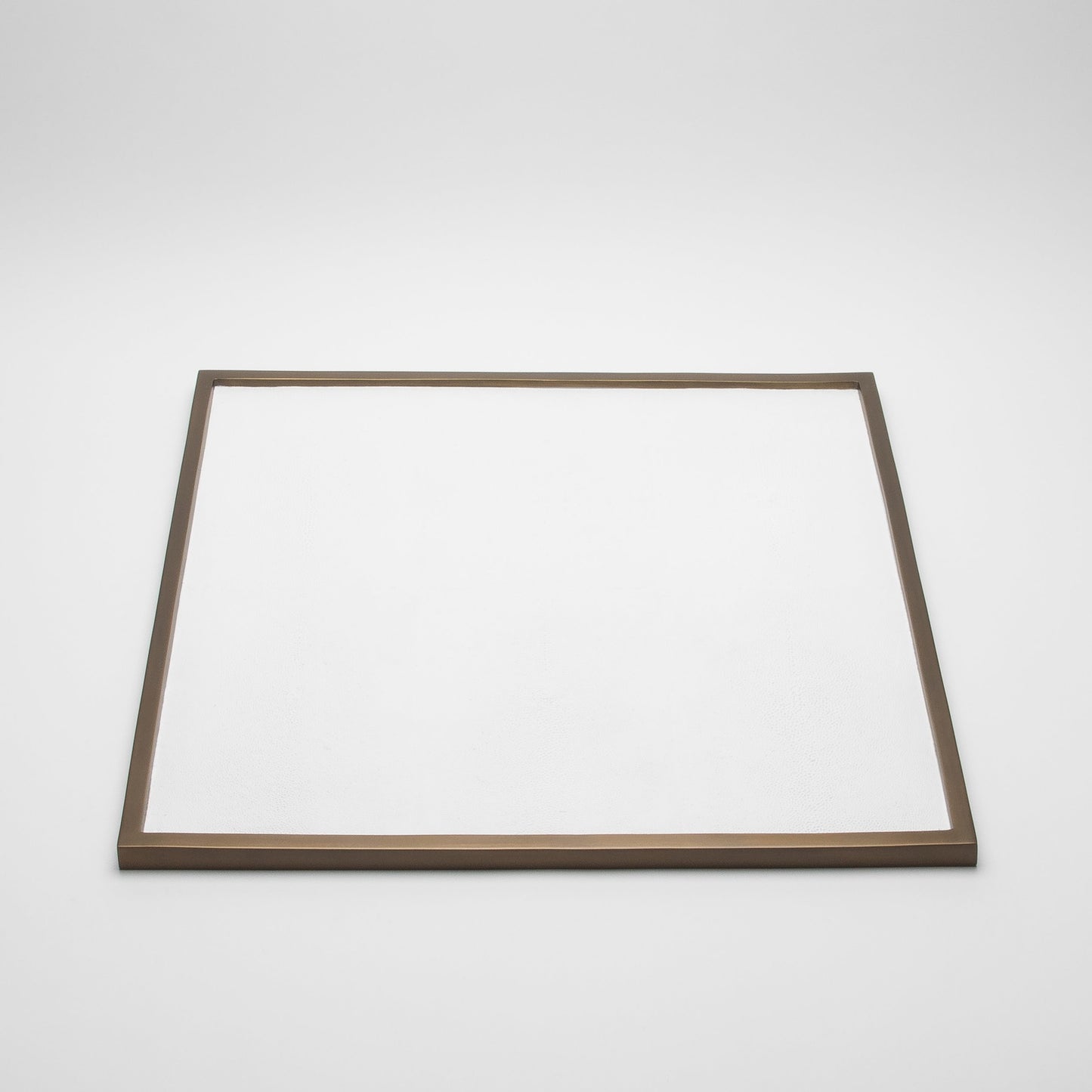 Large Square Tray in Shagreen by Kifu Paris