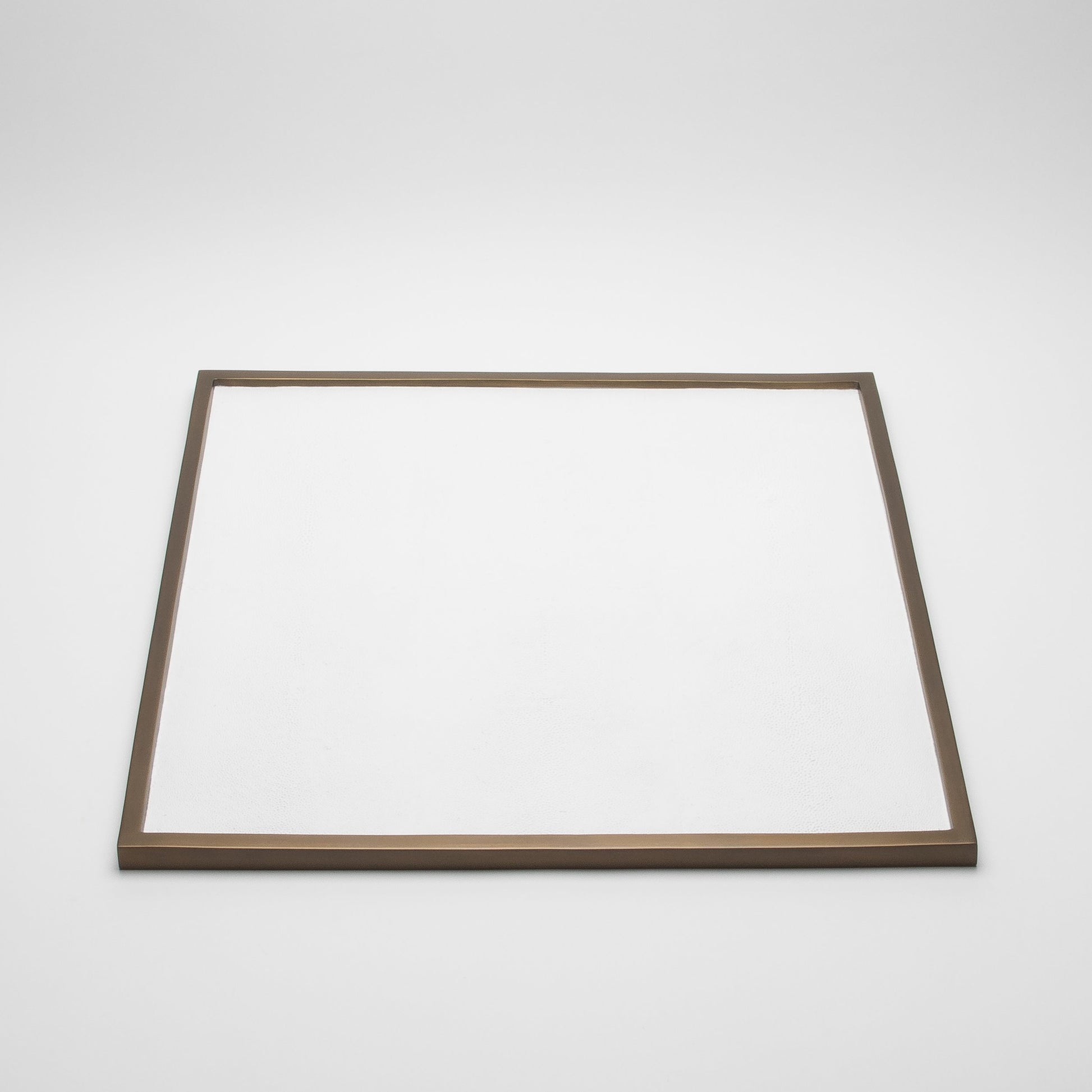 Large Square Tray in Shagreen by Kifu Paris