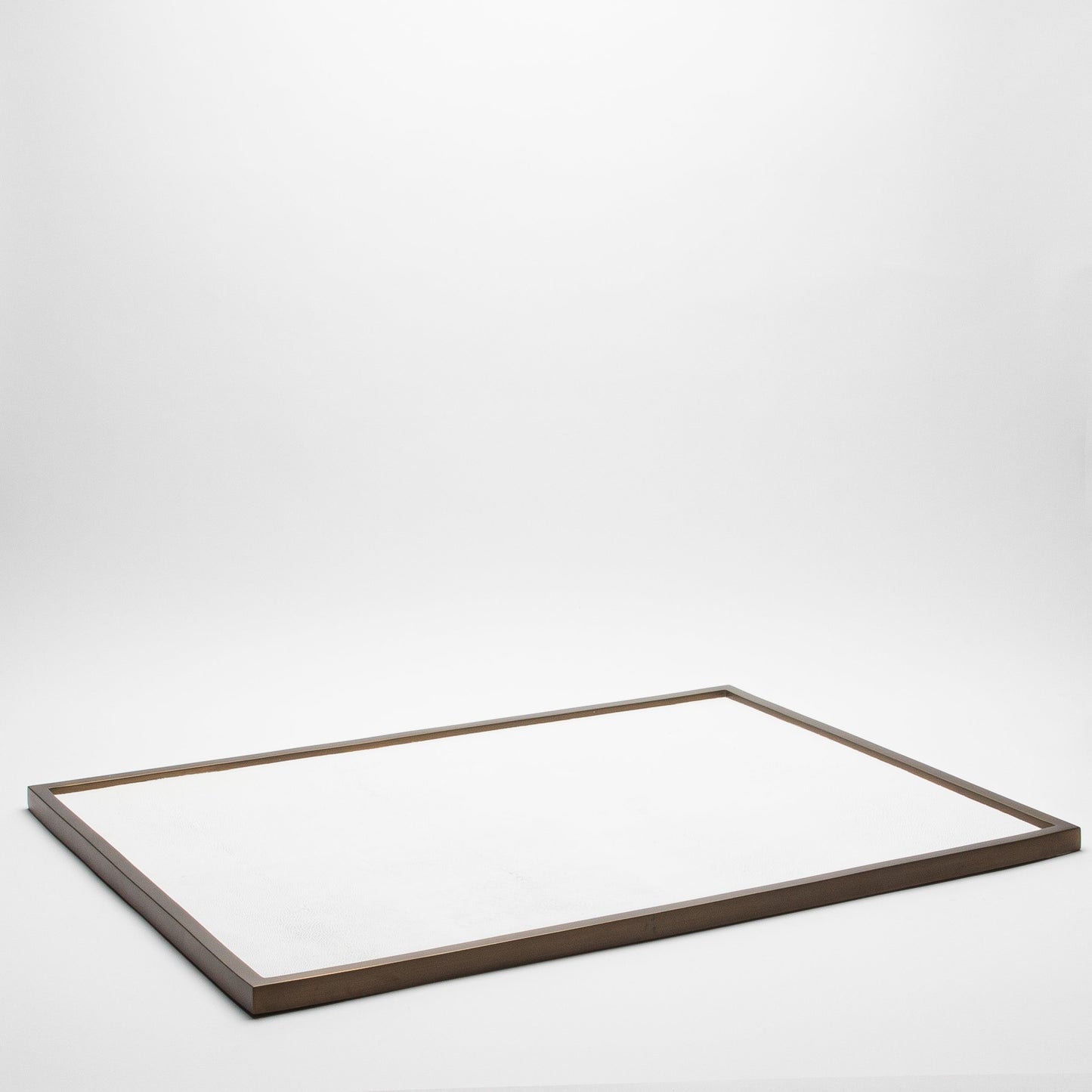 Extra Large Rectangular Tray in Shagreen by Kifu Paris