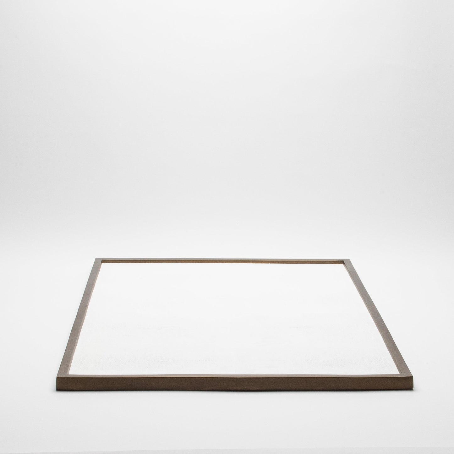 Extra Large Rectangular Tray in Shagreen by Kifu Paris