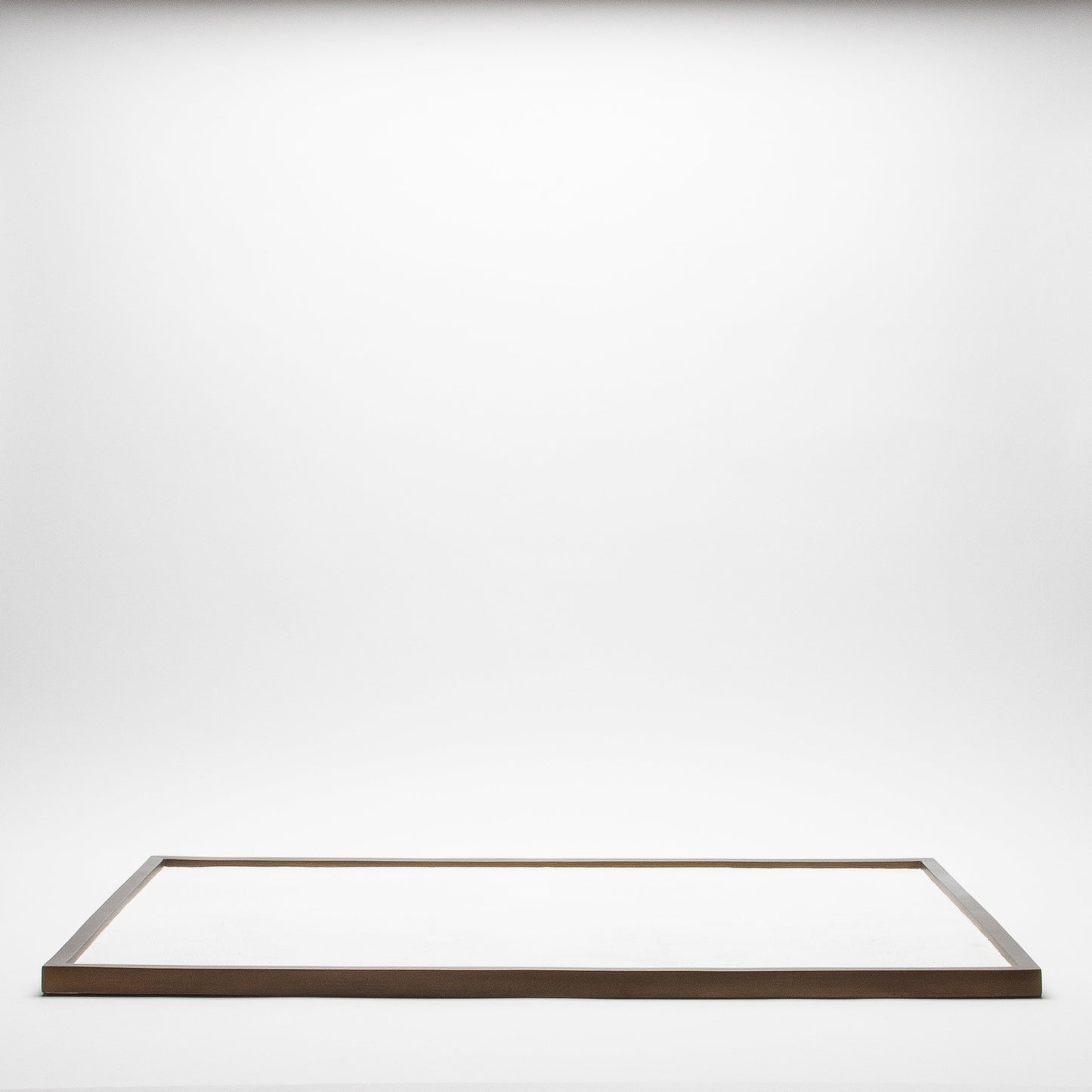 Extra Large Rectangular Tray in Shagreen by Kifu Paris