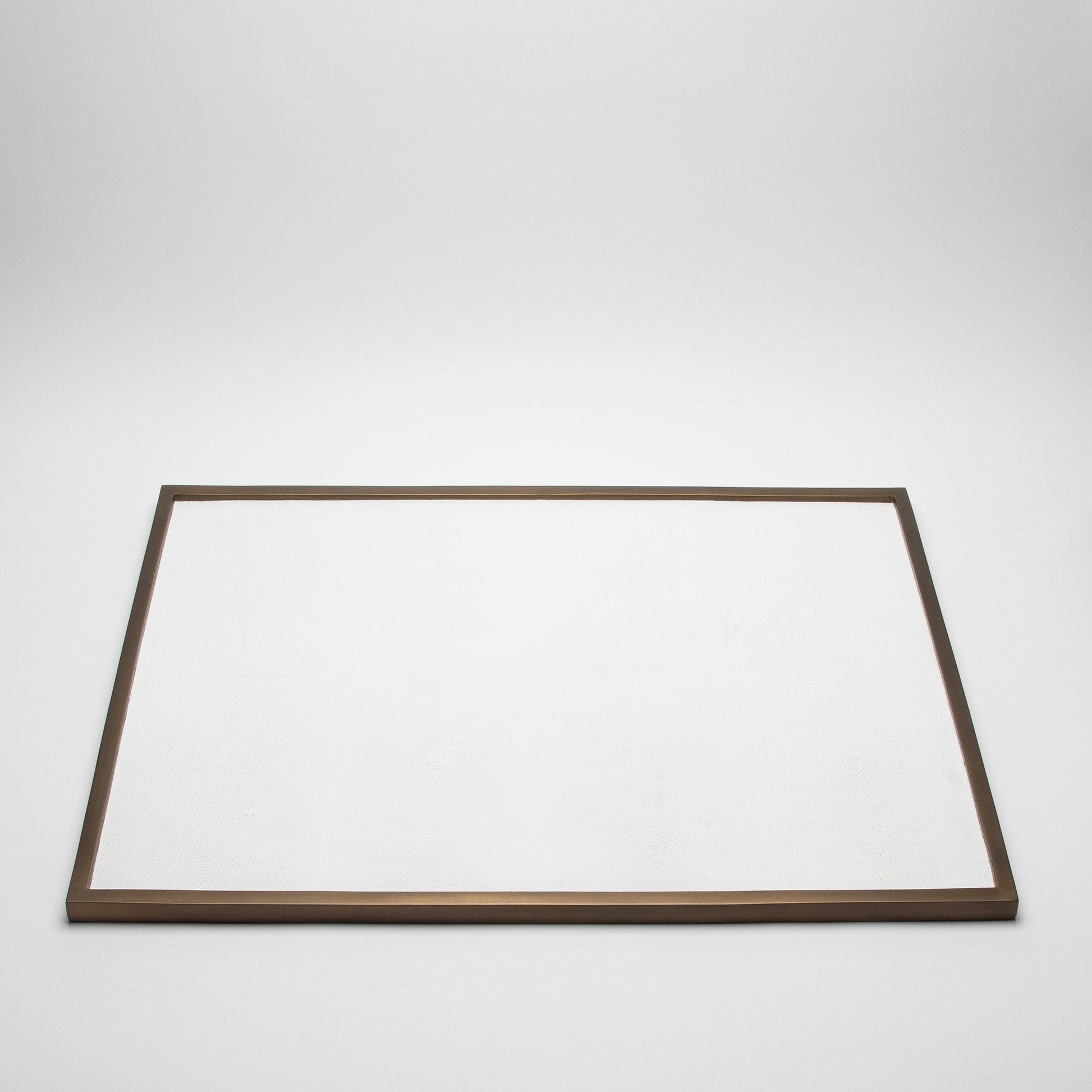 Extra Large Rectangular Tray in Shagreen by Kifu Paris