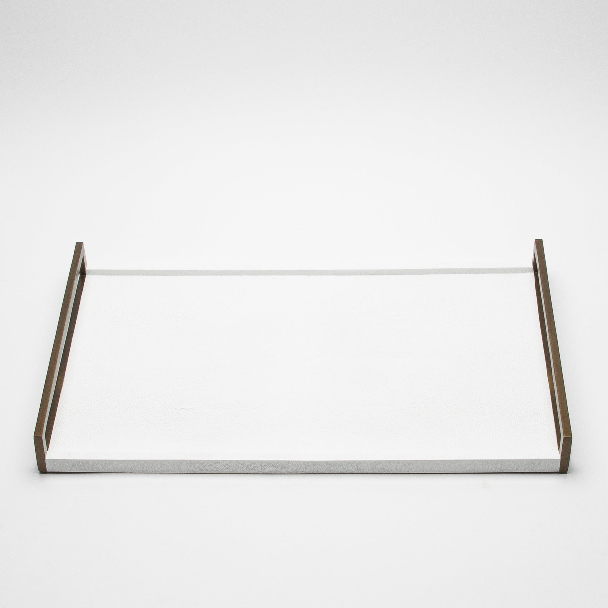 Rectangular Tray in Shagreen by R&Y Augousti