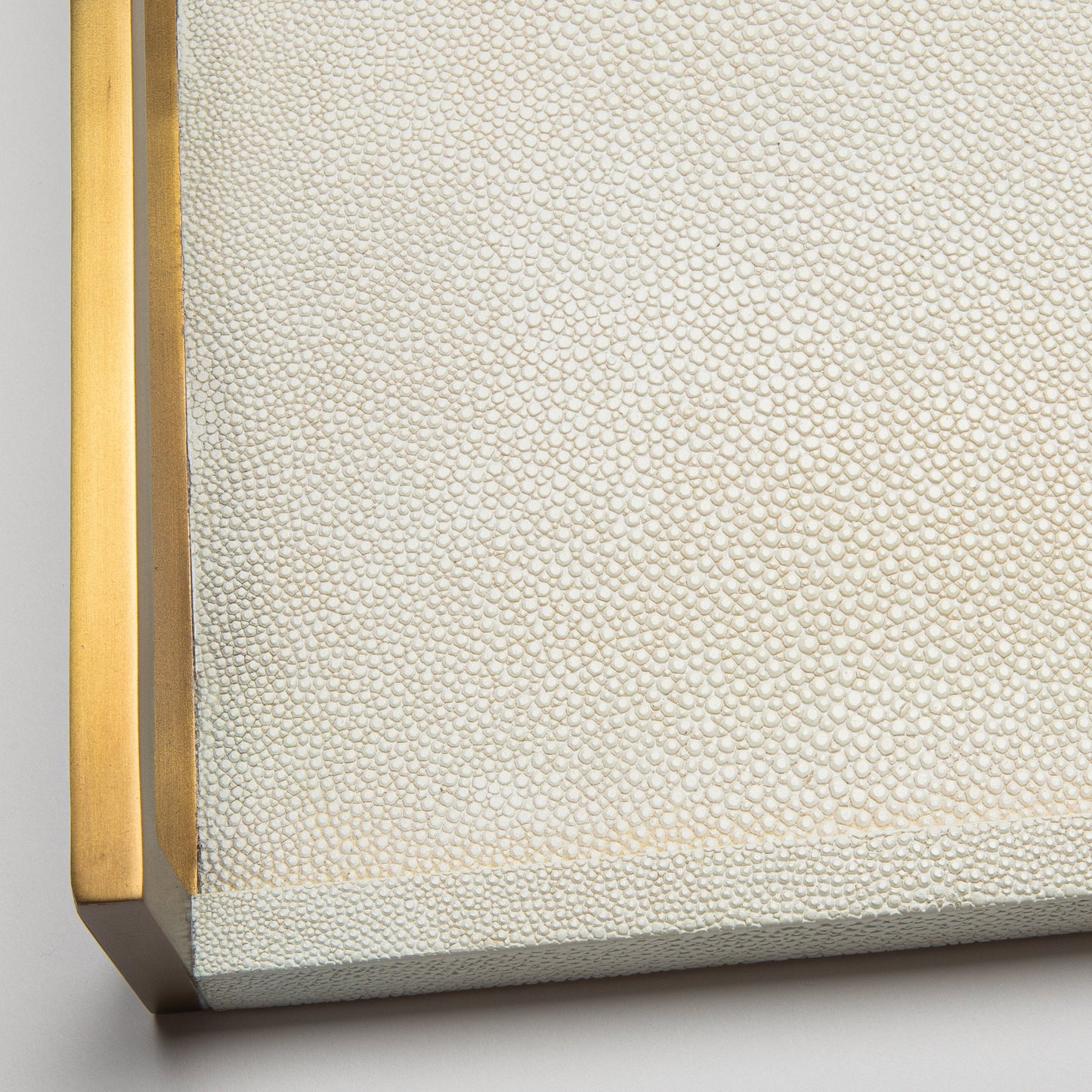 Rectangular Tray in Shagreen by R&Y Augousti
