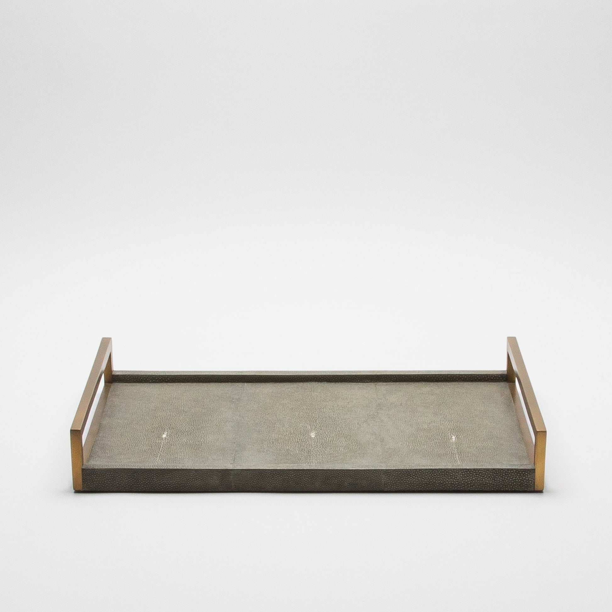 Rectangular Tray in Shagreen with Bronze by R&Y Augousti