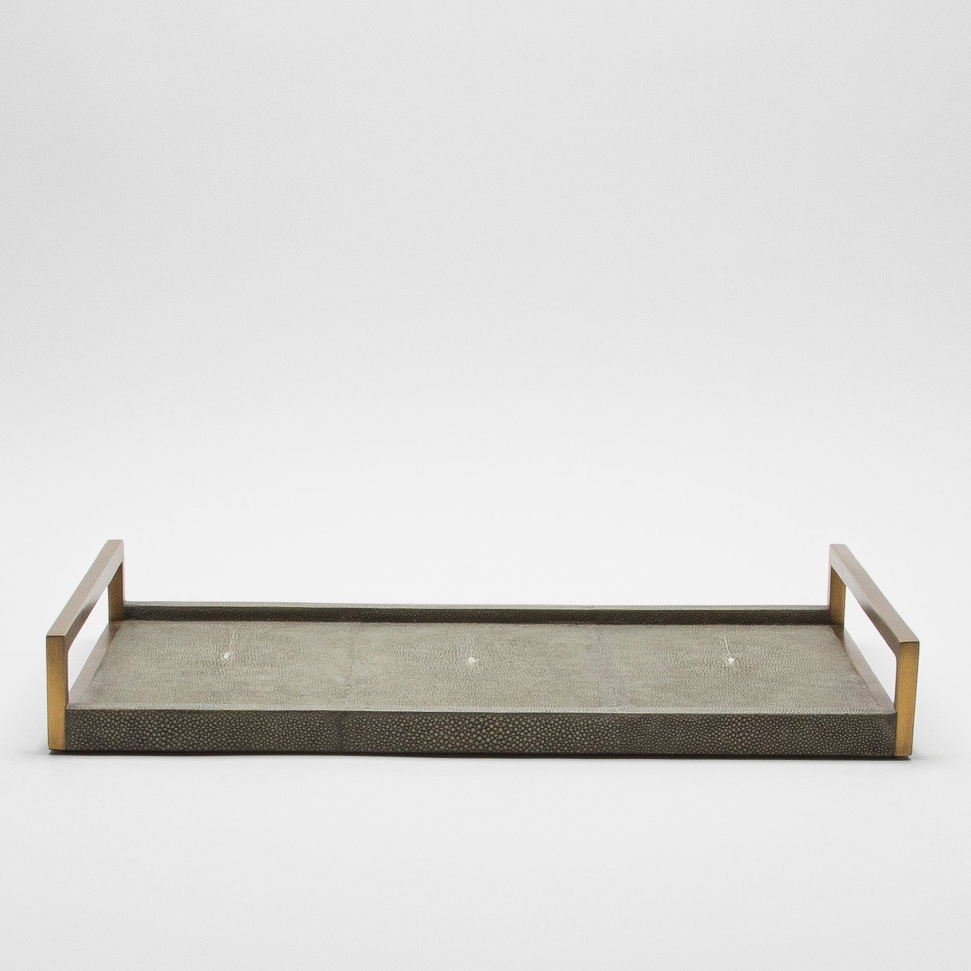 Rectangular Tray in Shagreen with Bronze by R&Y Augousti