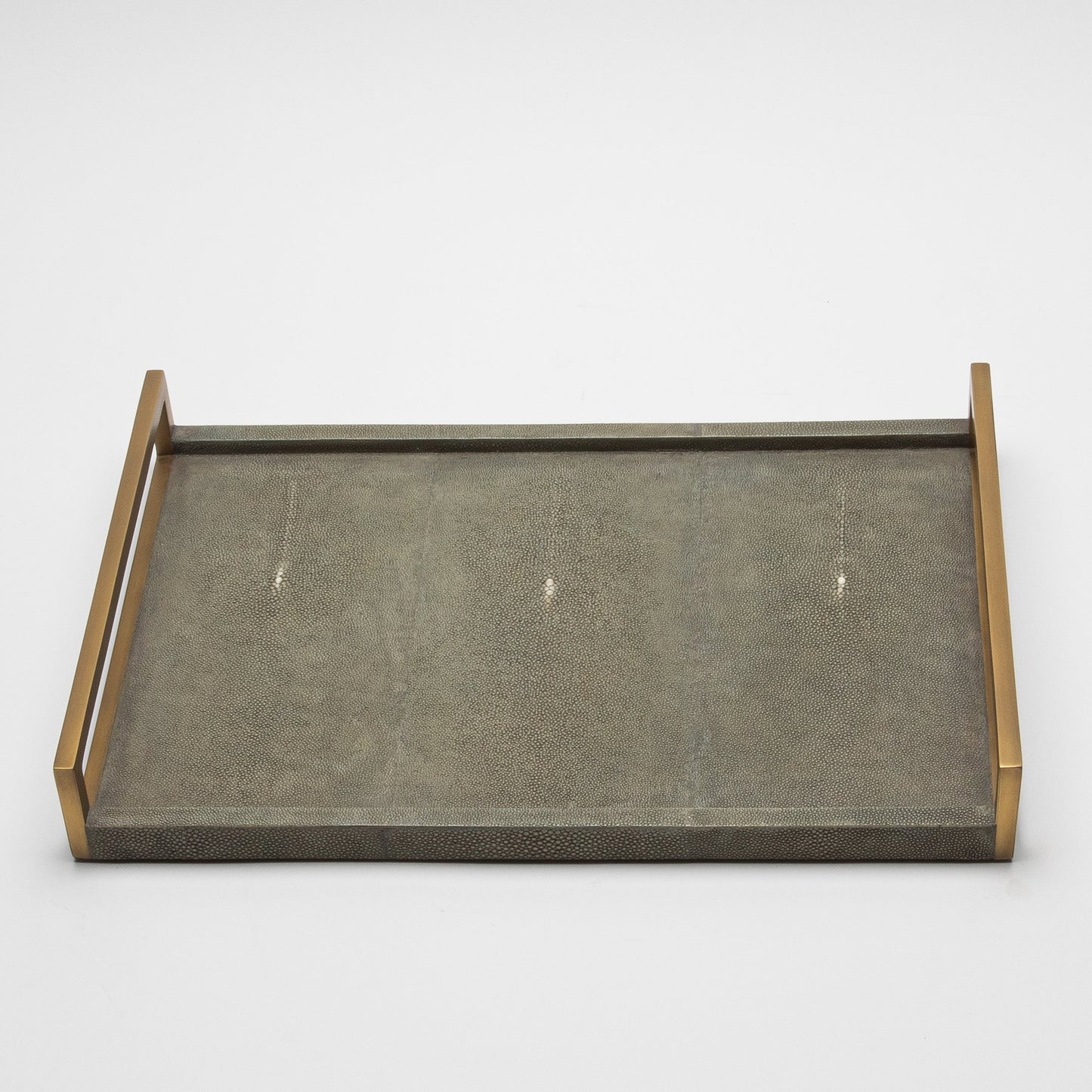 Rectangular Tray in Shagreen with Bronze by R&Y Augousti