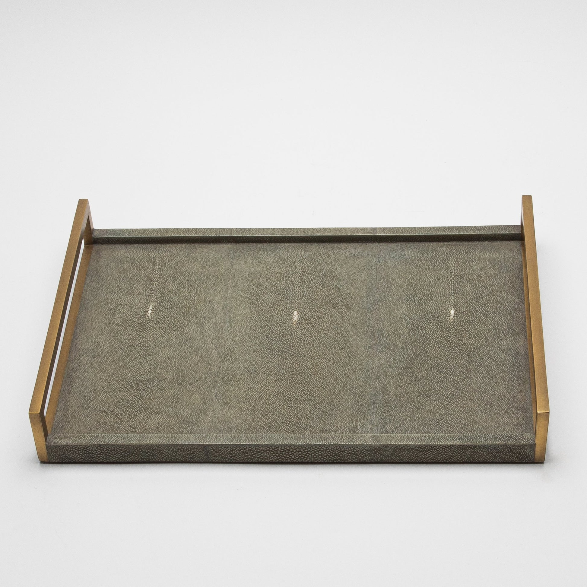 Rectangular Tray in Shagreen with Bronze by R&Y Augousti