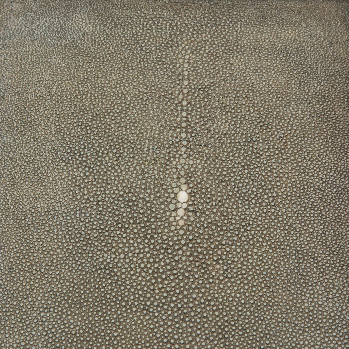Rectangular Tray in Shagreen with Bronze by R&Y Augousti