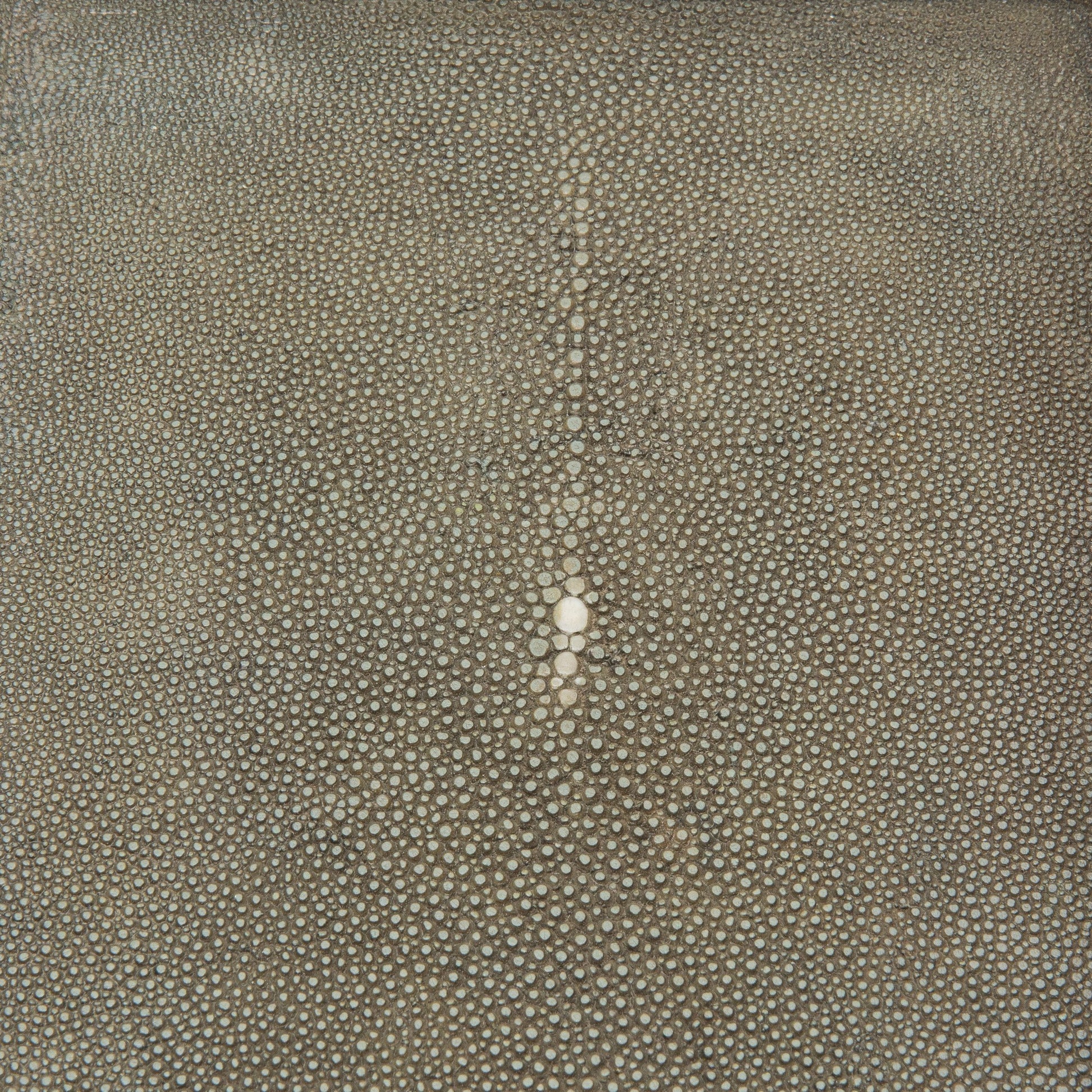 Rectangular Tray in Shagreen with Bronze by R&Y Augousti