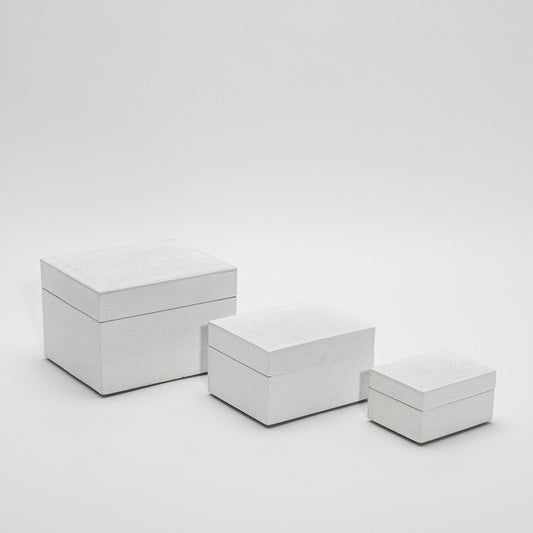 Set of 3 Curved Top Boxes in White Shagreen by R&Y Augousti