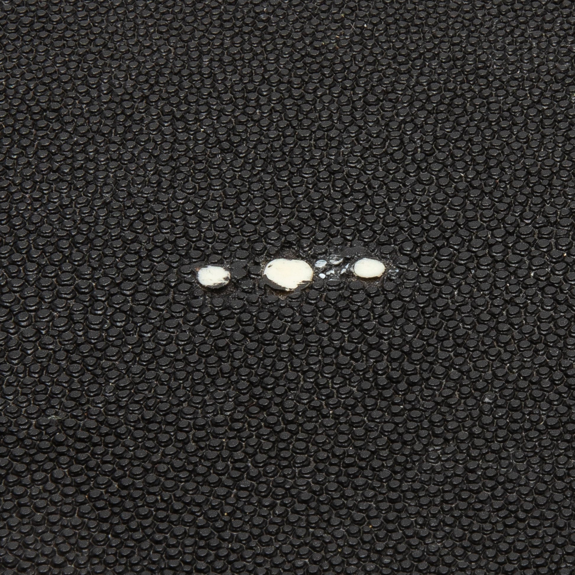 Set of 2 Boxes in Black Shagreen with Bronze Patina Brass by R&Y Augousti