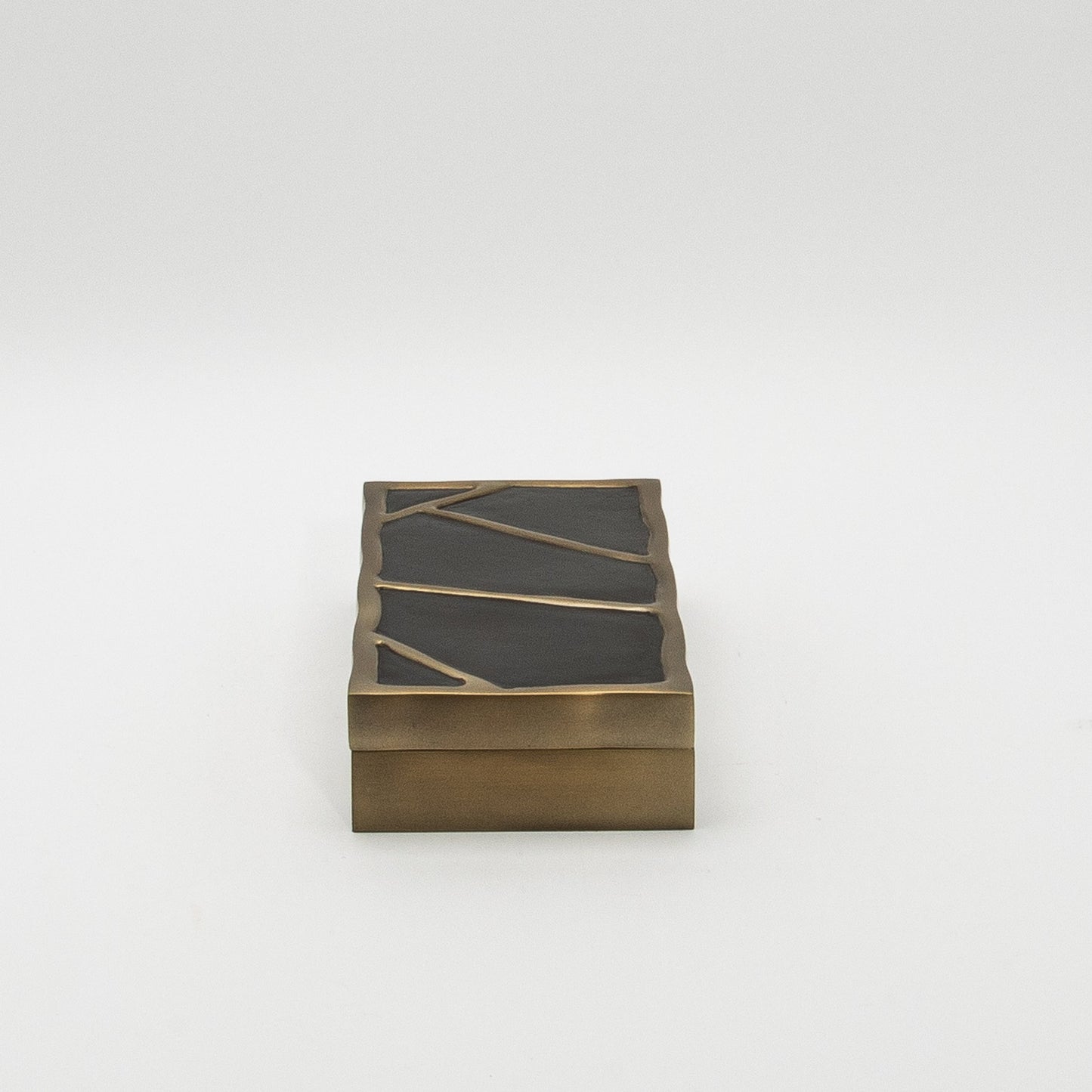 Modern Box in Black Shell with Bronze Patina Brass by R&Y Augousti