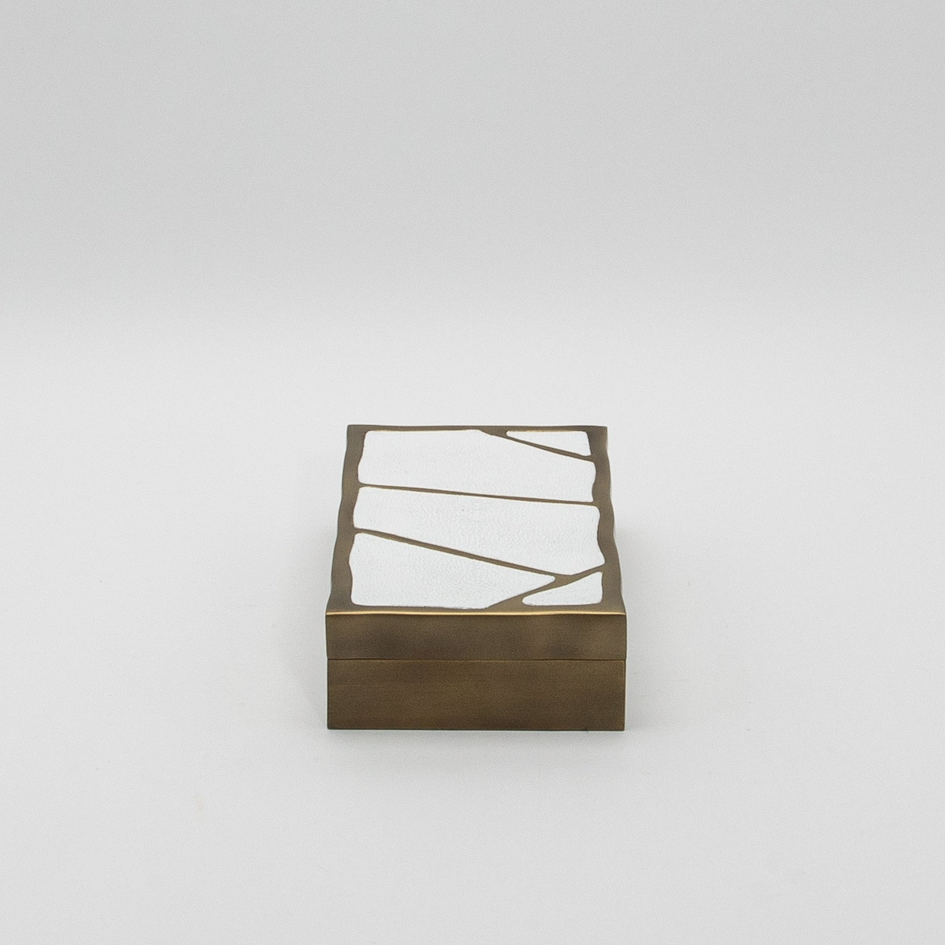 Modern Box in White Shagreen with Bronze Patina Brass by R&Y Augousti