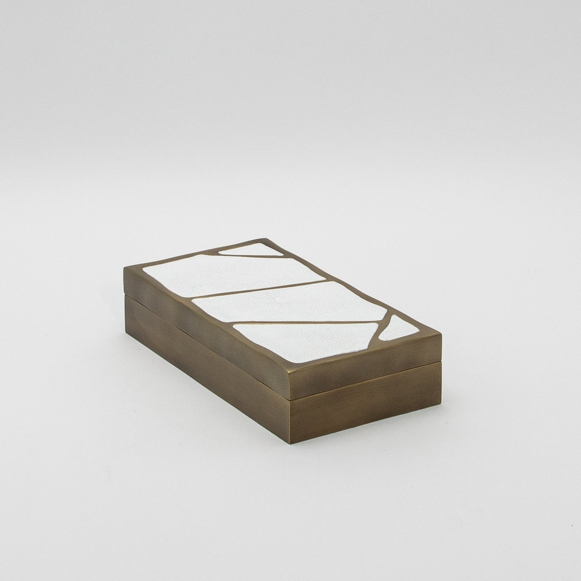 Modern Box in White Shagreen with Bronze Patina Brass by R&Y Augousti