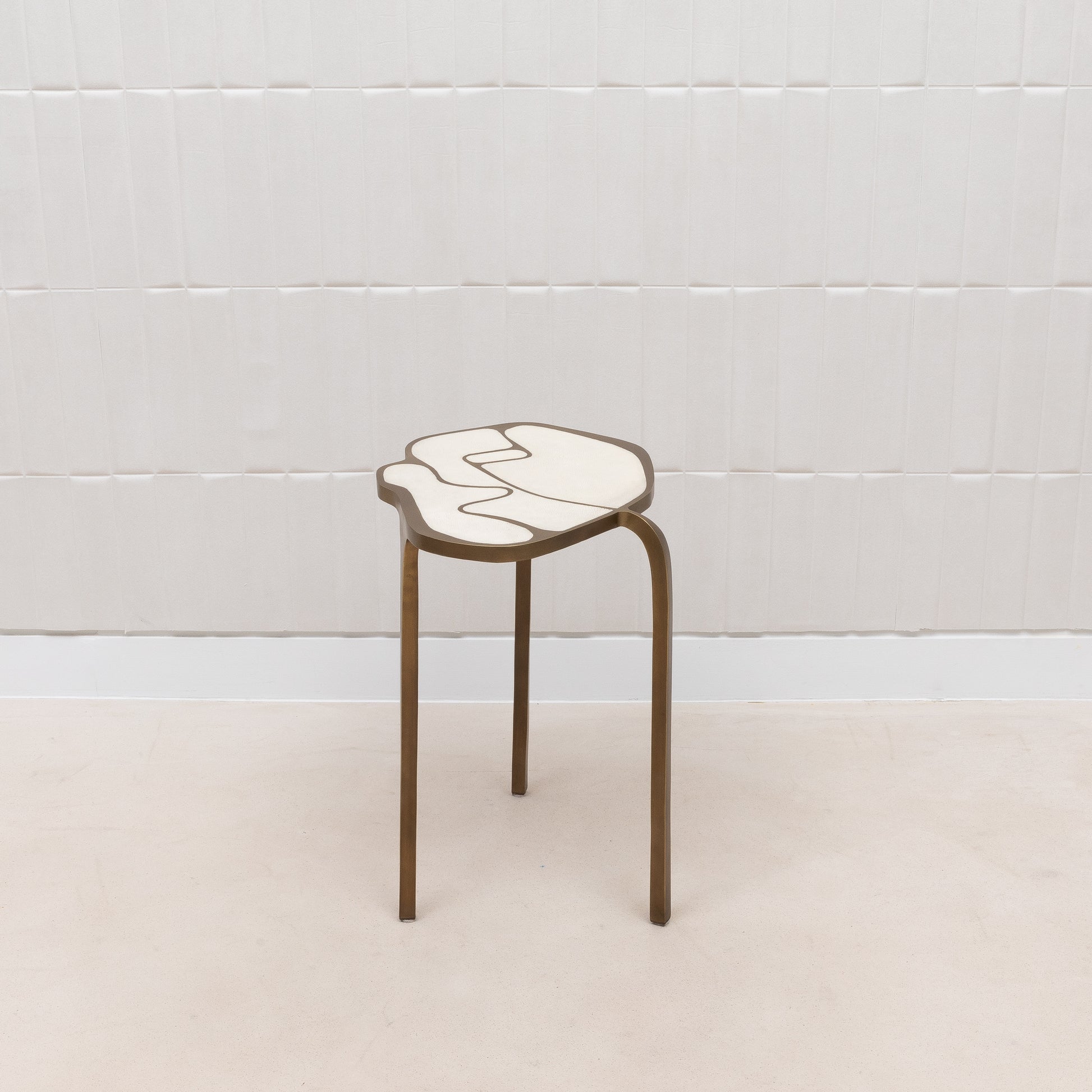 Side Table in Antique Natural Shagreen with Bronze Patina Brass by R&Y Augousti