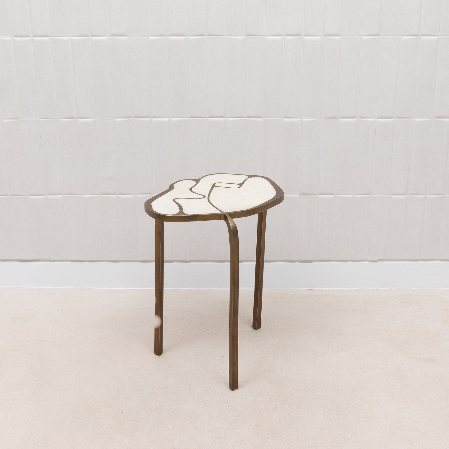 Side Table in Antique Natural Shagreen with Bronze Patina Brass by R&Y Augousti