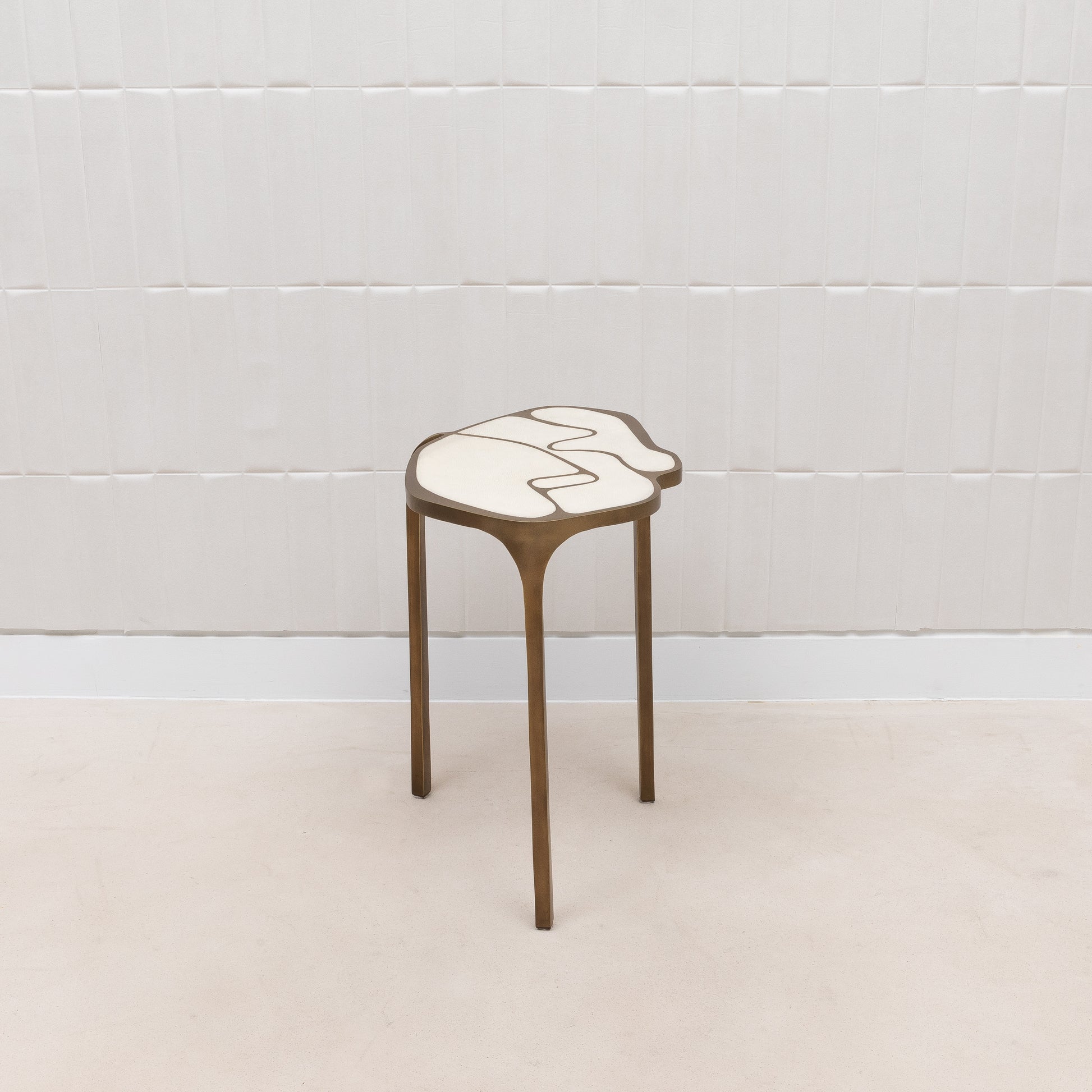 Side Table in Antique Natural Shagreen with Bronze Patina Brass by R&Y Augousti