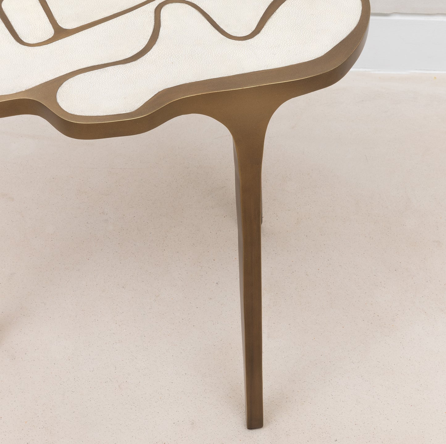 Side Table in Antique Natural Shagreen with Bronze Patina Brass by R&Y Augousti