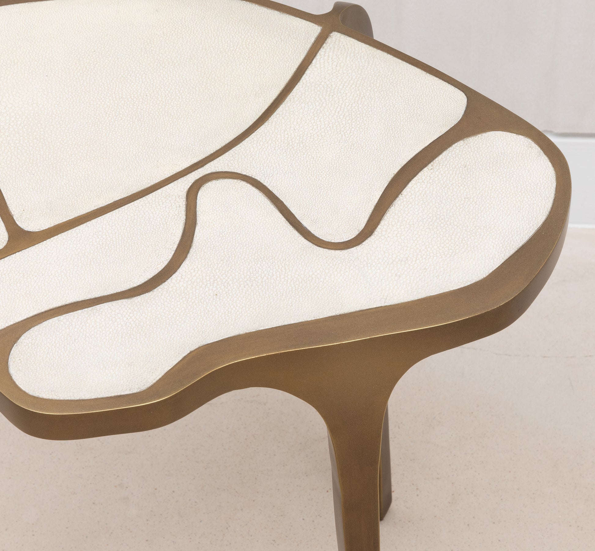 Side Table in Antique Natural Shagreen with Bronze Patina Brass by R&Y Augousti