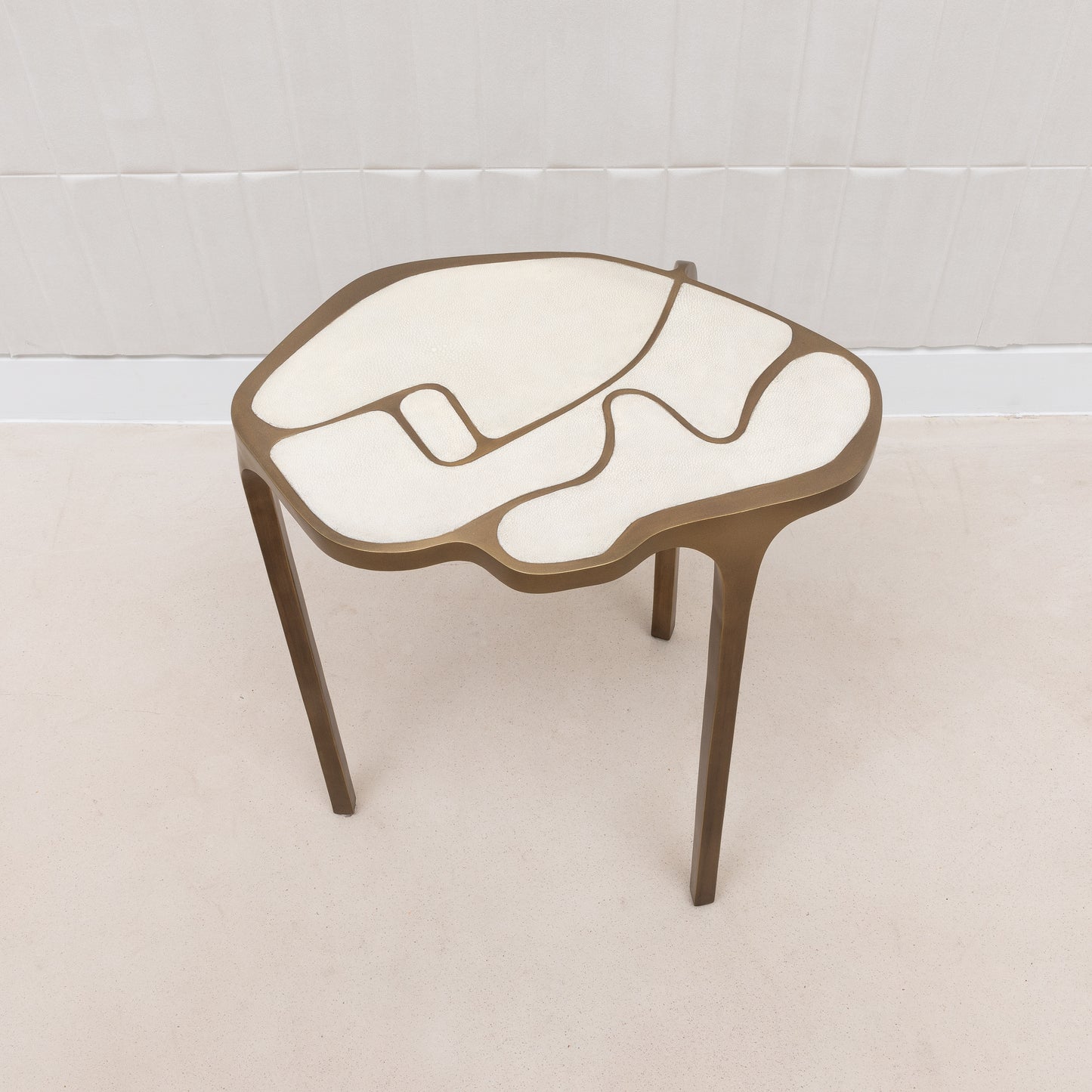 Side Table in Antique Natural Shagreen with Bronze Patina Brass by R&Y Augousti