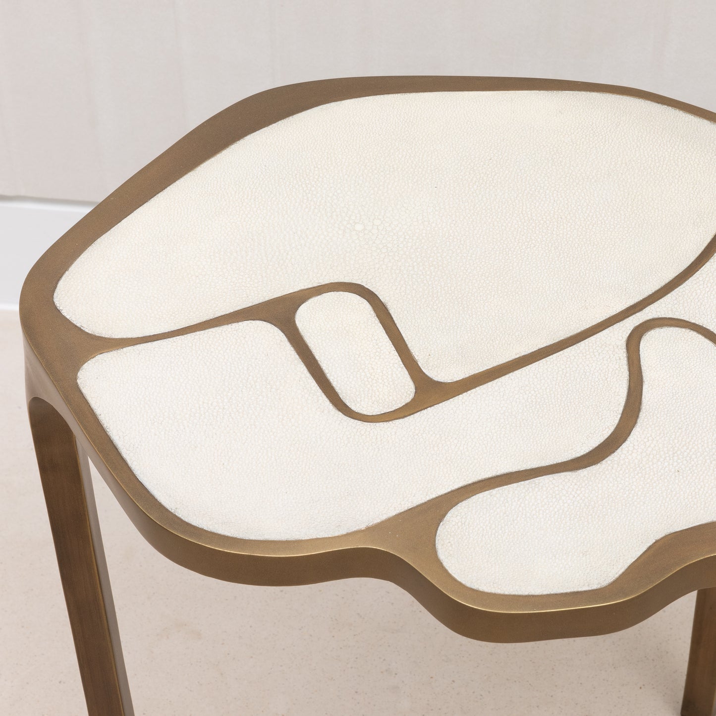 Side Table in Antique Natural Shagreen with Bronze Patina Brass by R&Y Augousti