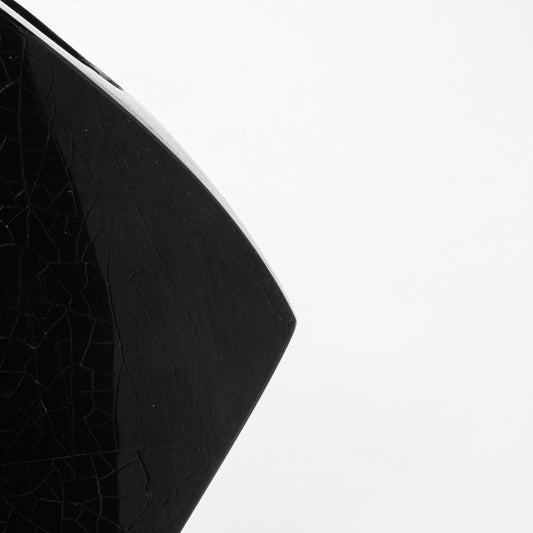 Sculptural Vase in Black Shell by R&Y Augousti